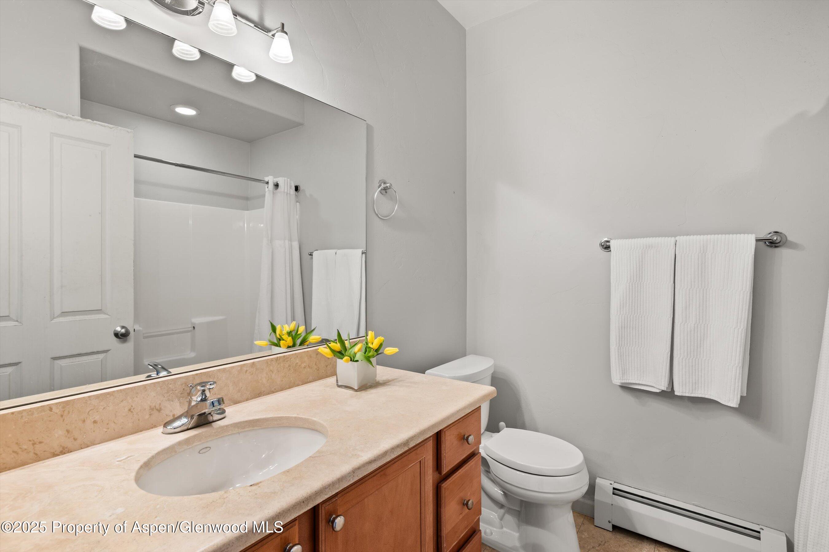 1330 E Valley Road Basalt CO 81621