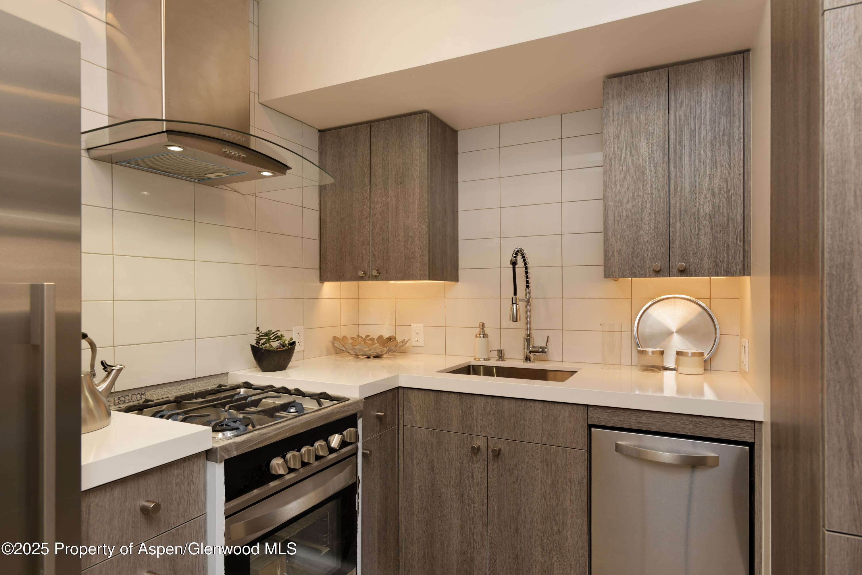 600 Carriage Way Snowmass Village CO 81615