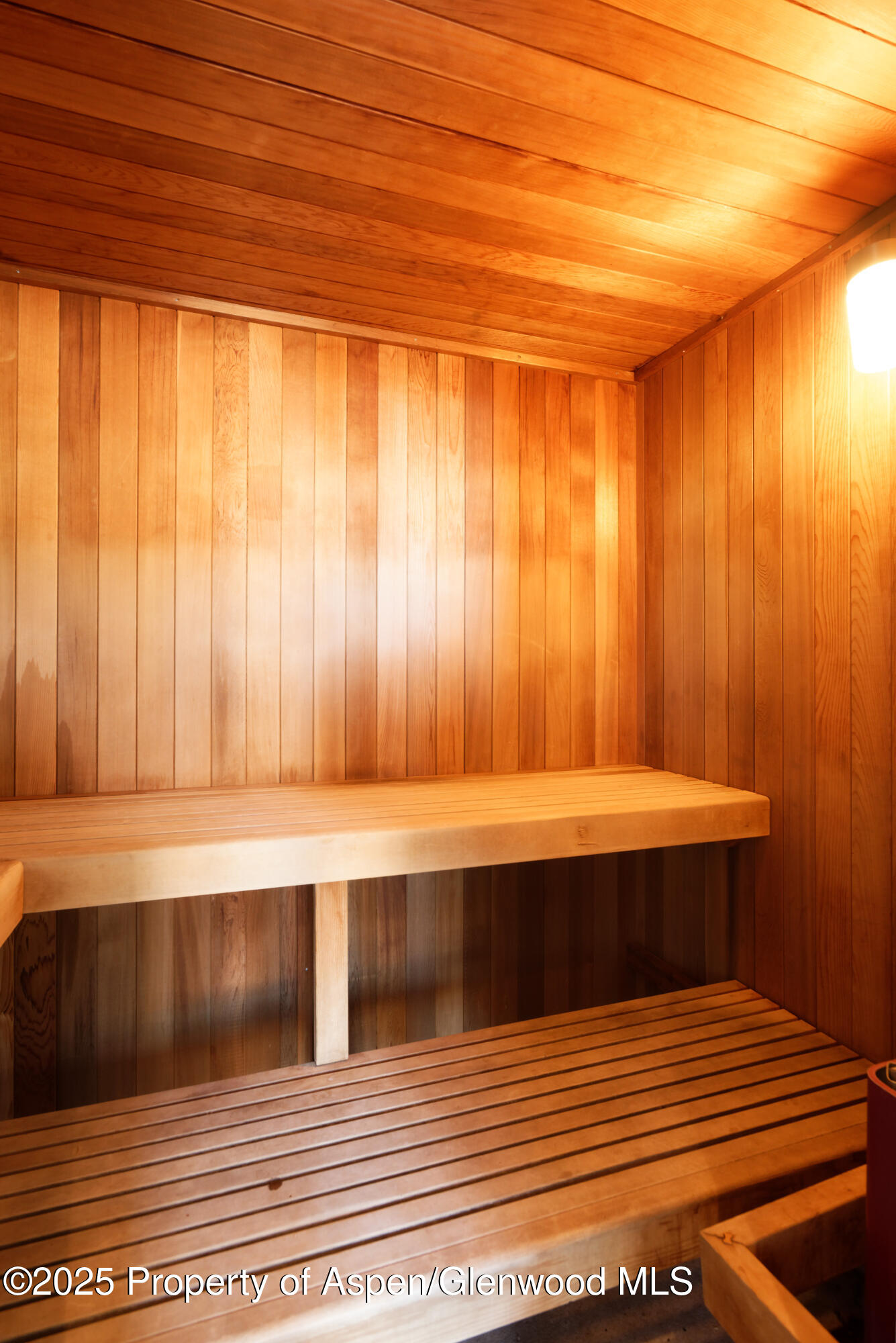 600 Carriage Way Snowmass Village CO 81615