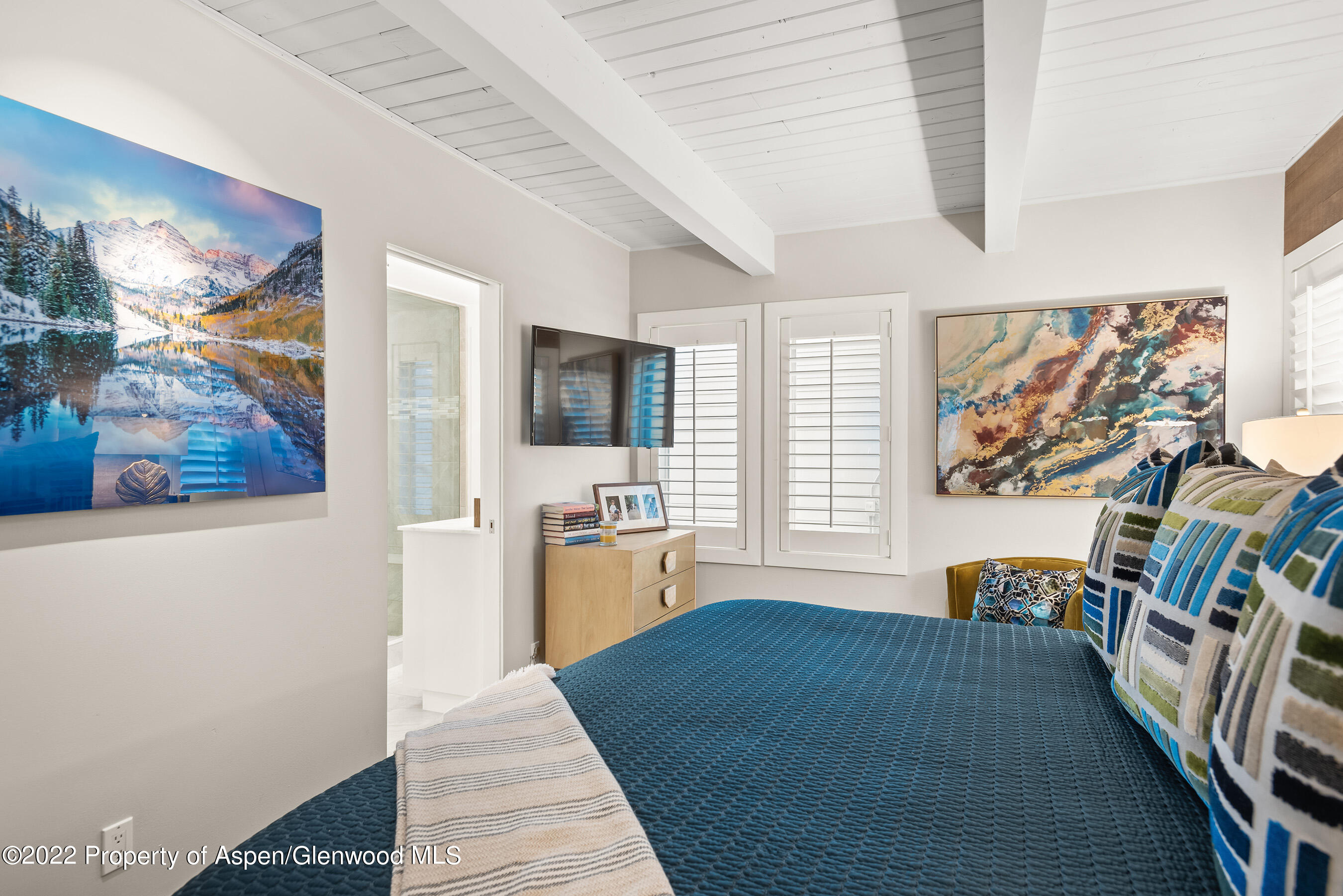 825 E Hopkins Avenue Aspen CO 81611