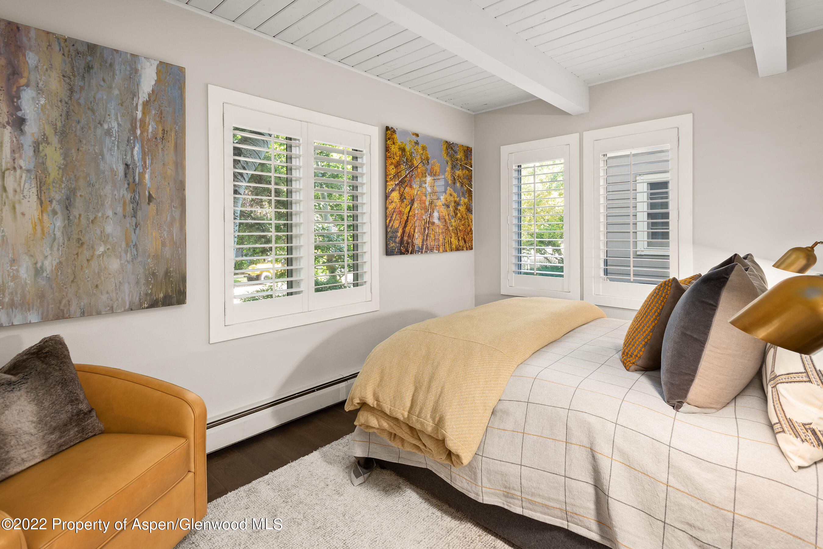 825 E Hopkins Avenue Aspen CO 81611