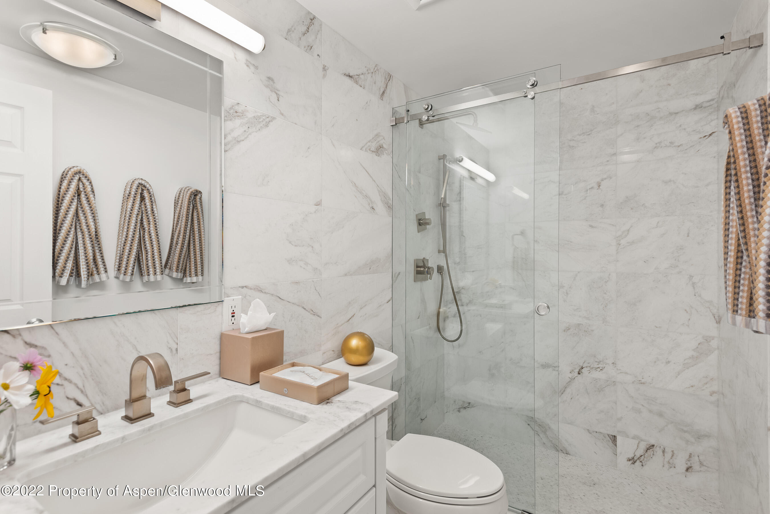 825 E Hopkins Avenue Aspen CO 81611