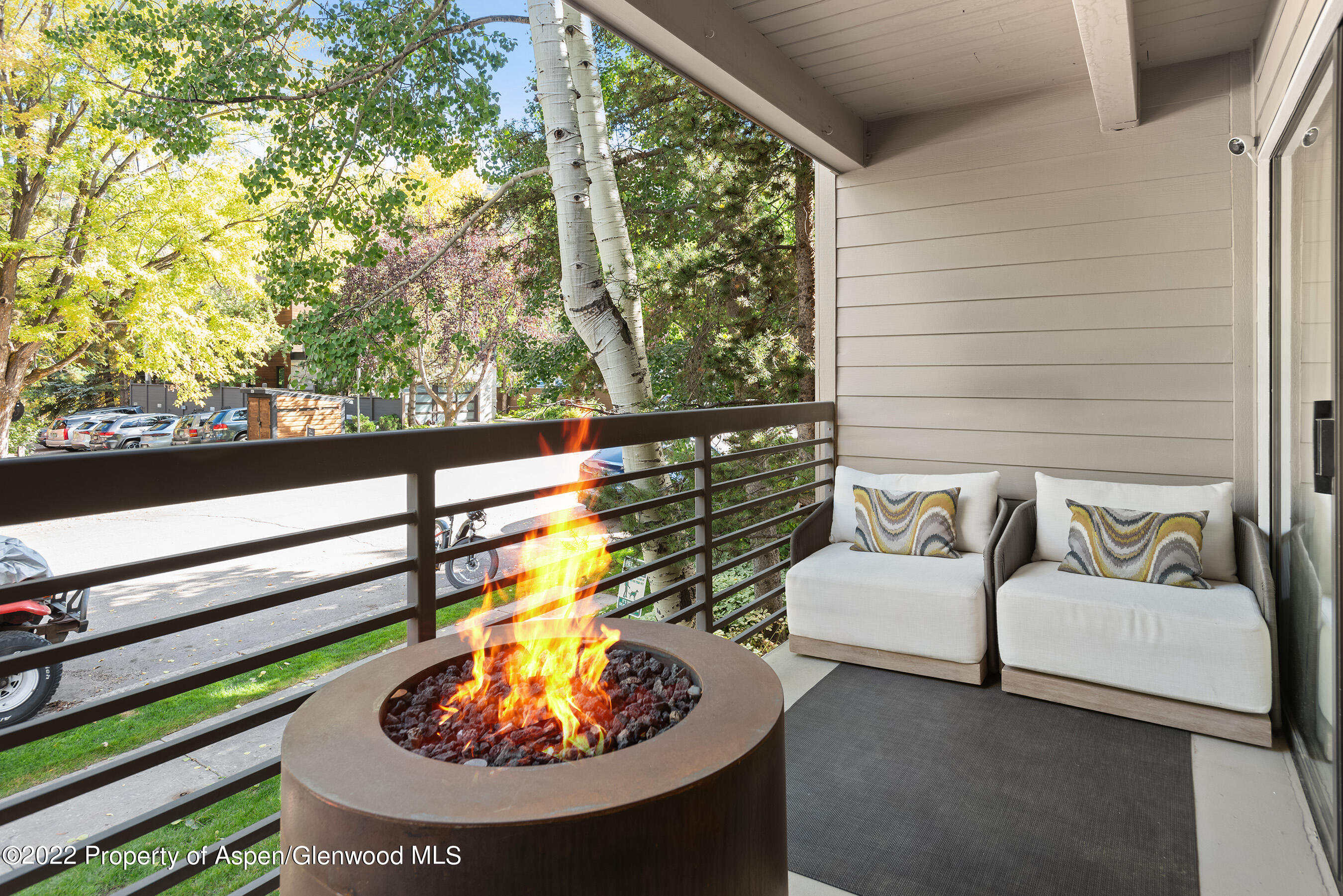 825 E Hopkins Avenue Aspen CO 81611
