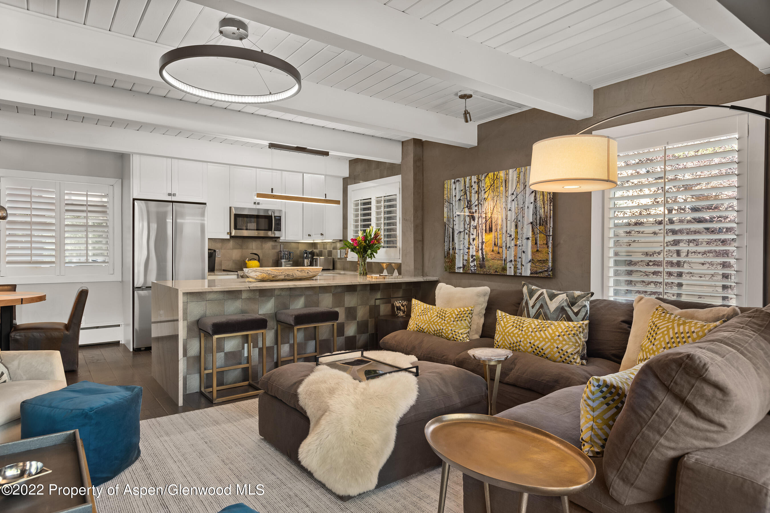 825 E Hopkins Avenue Aspen CO 81611