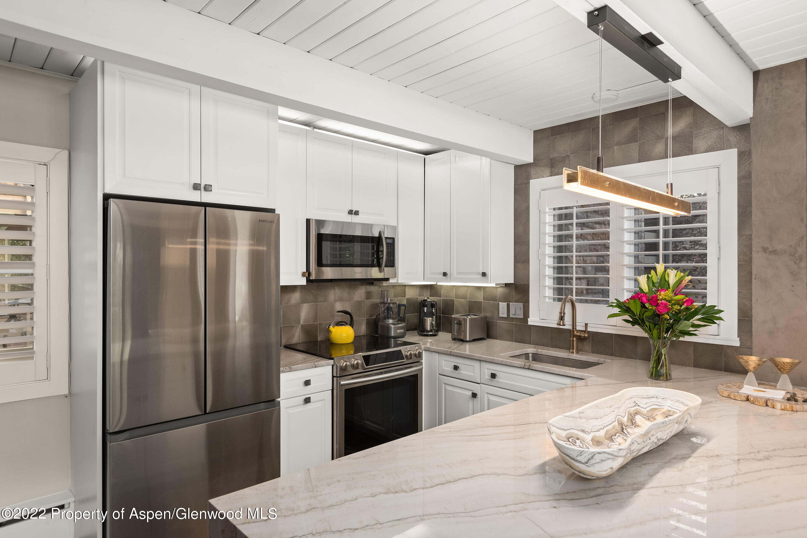 825 E Hopkins Avenue Aspen CO 81611