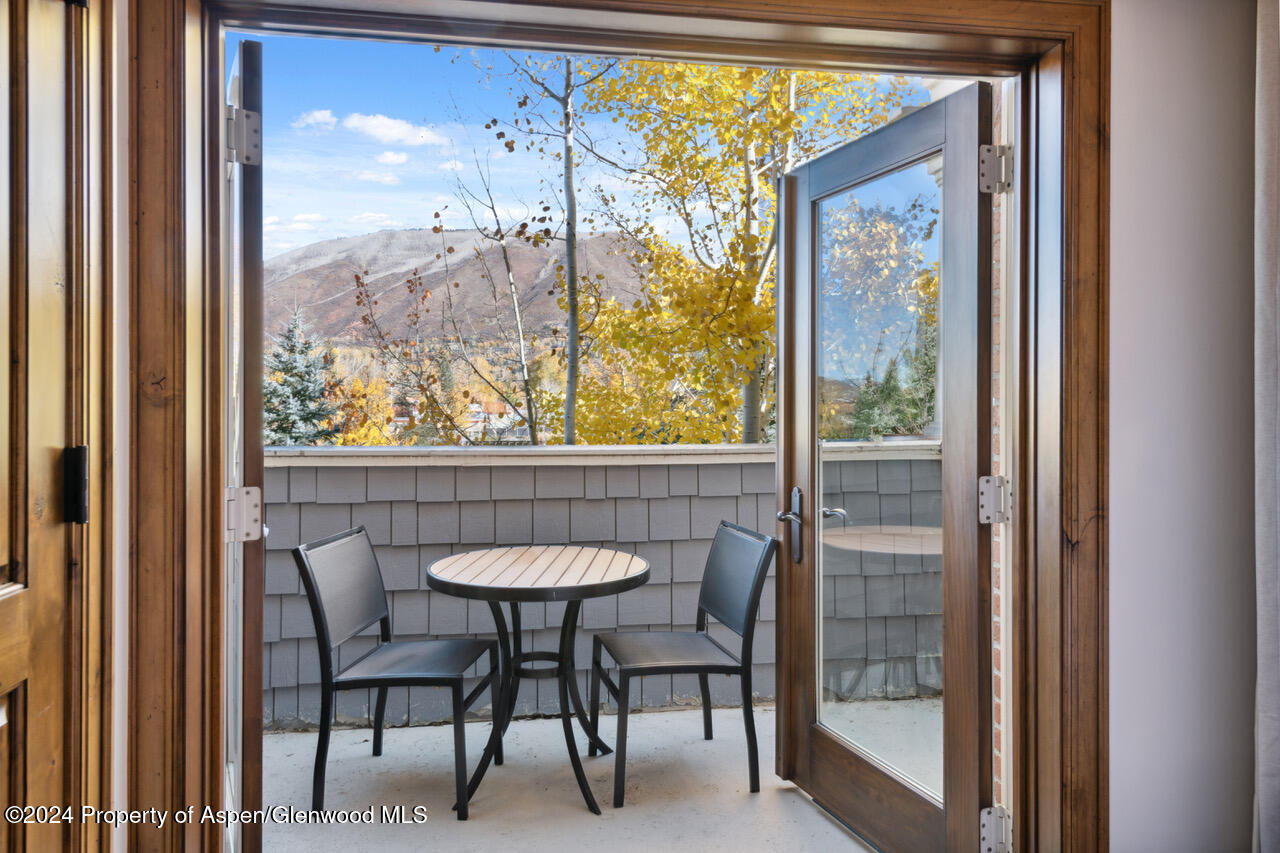 415 E Dean Street, Unit 16, Week 33 Aspen CO 81611
