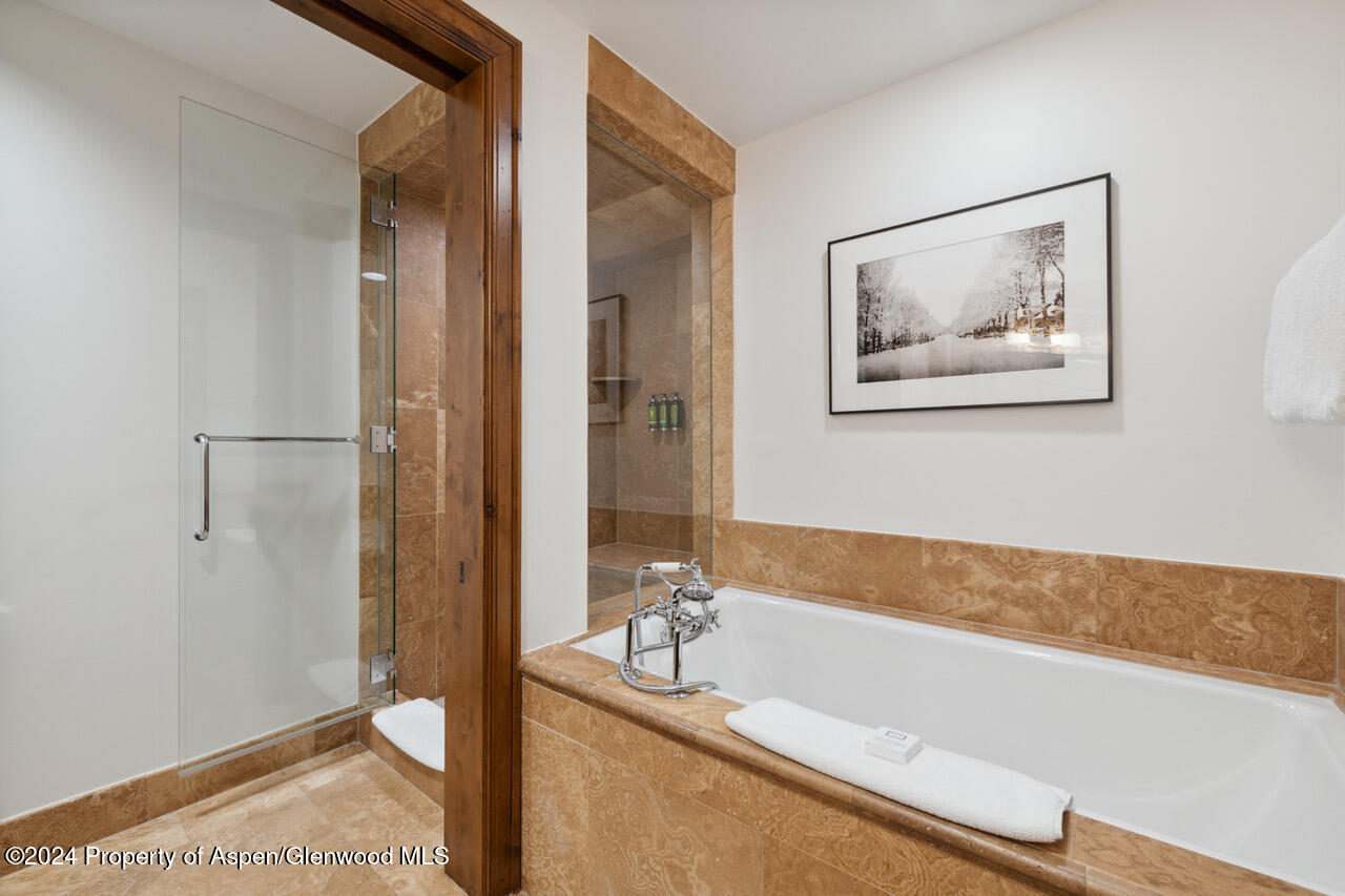 415 E Dean Street, Unit 16, Week 33 Aspen CO 81611