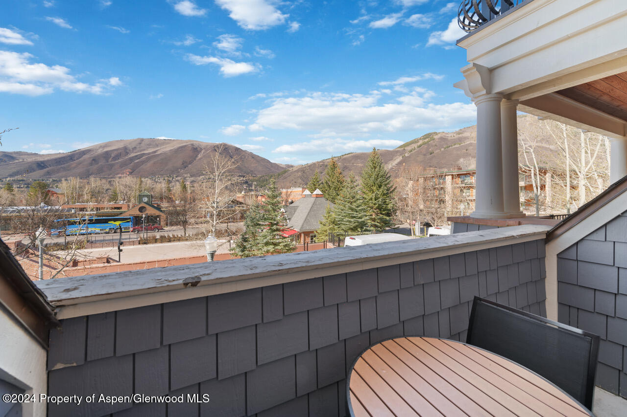 415 E Dean Street, Unit 16, Week 33 Aspen CO 81611
