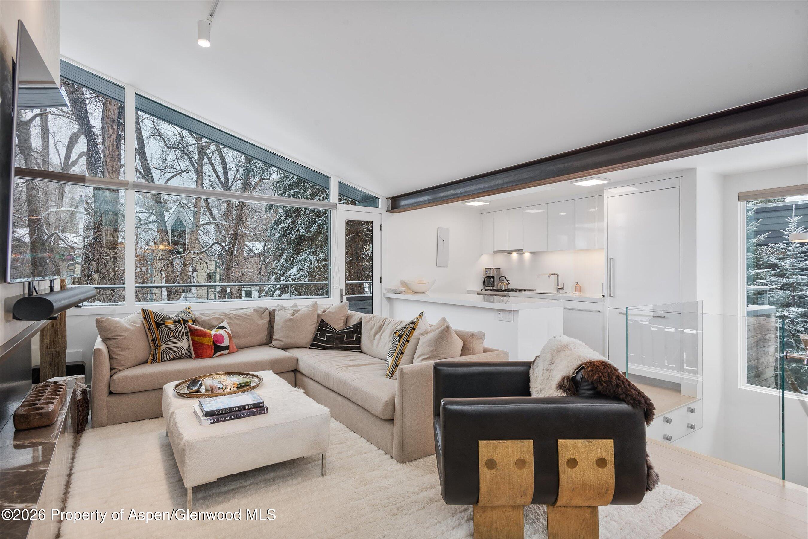 1001 E Cooper Avenue Aspen CO 81611