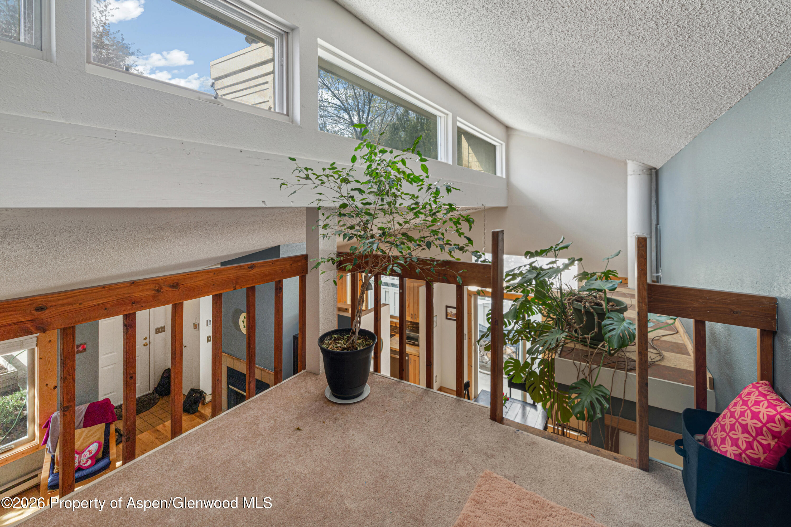 1391 Barber Drive Carbondale CO 81623