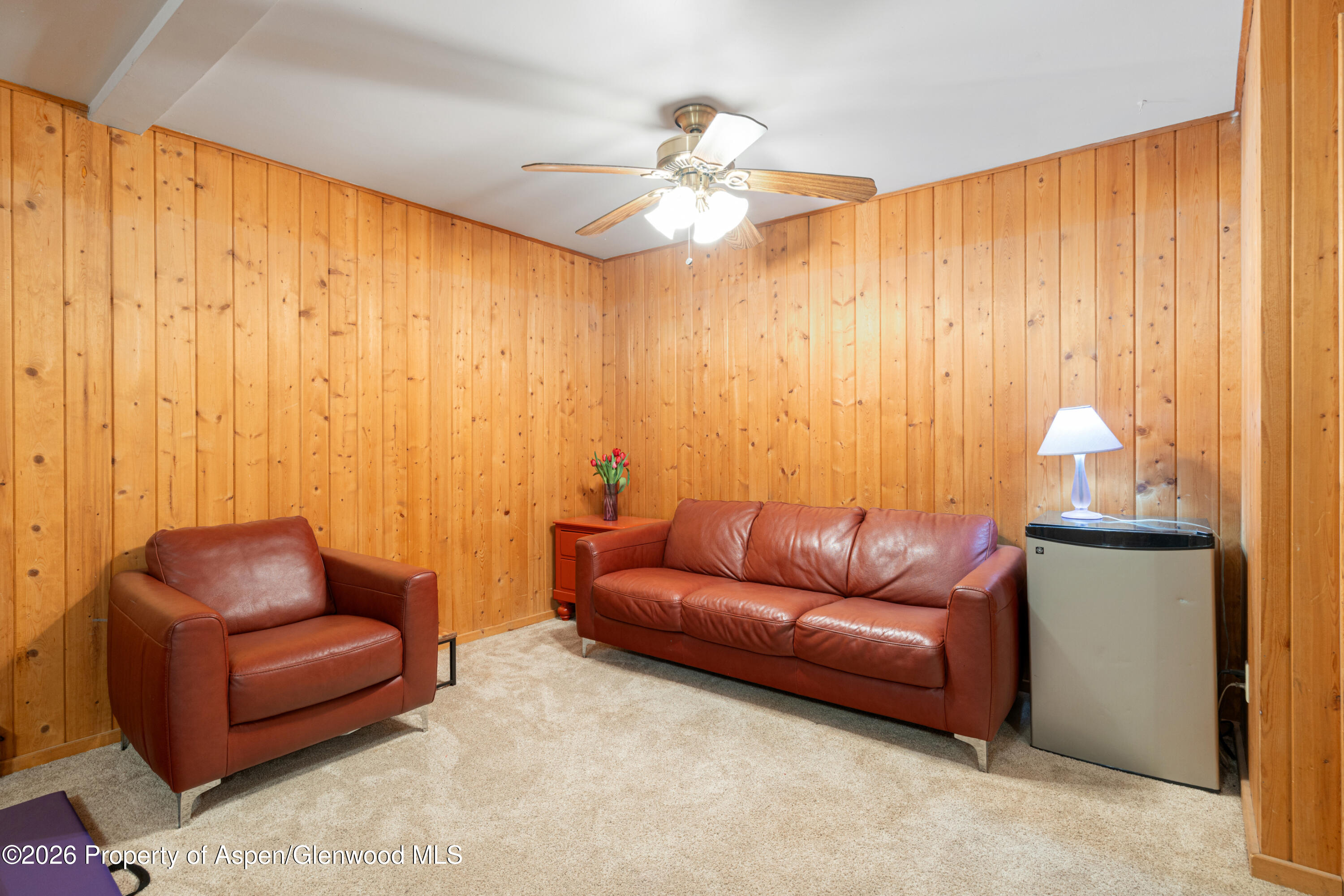 1391 Barber Drive Carbondale CO 81623