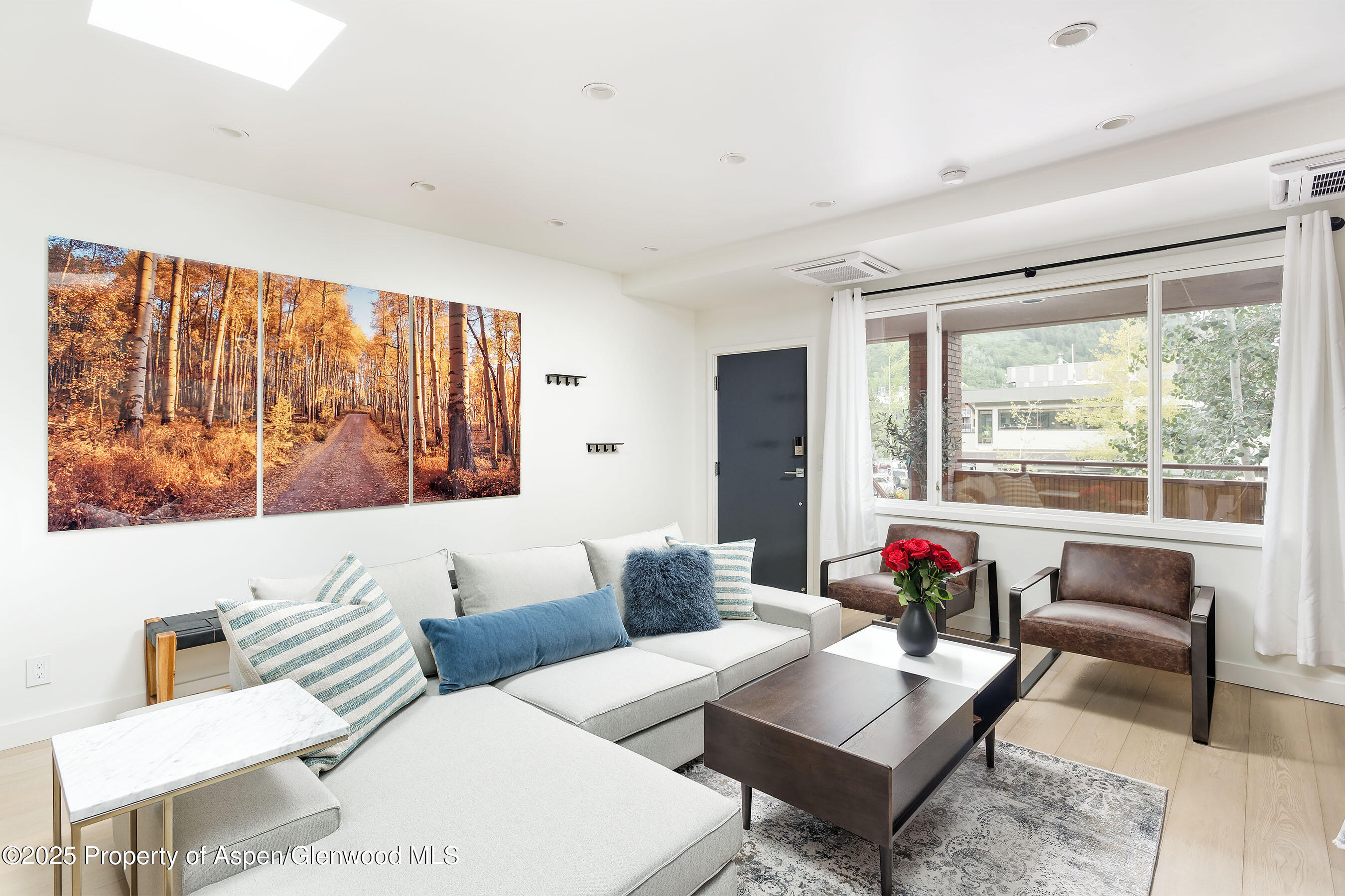 450 S Original Street Aspen CO 81611