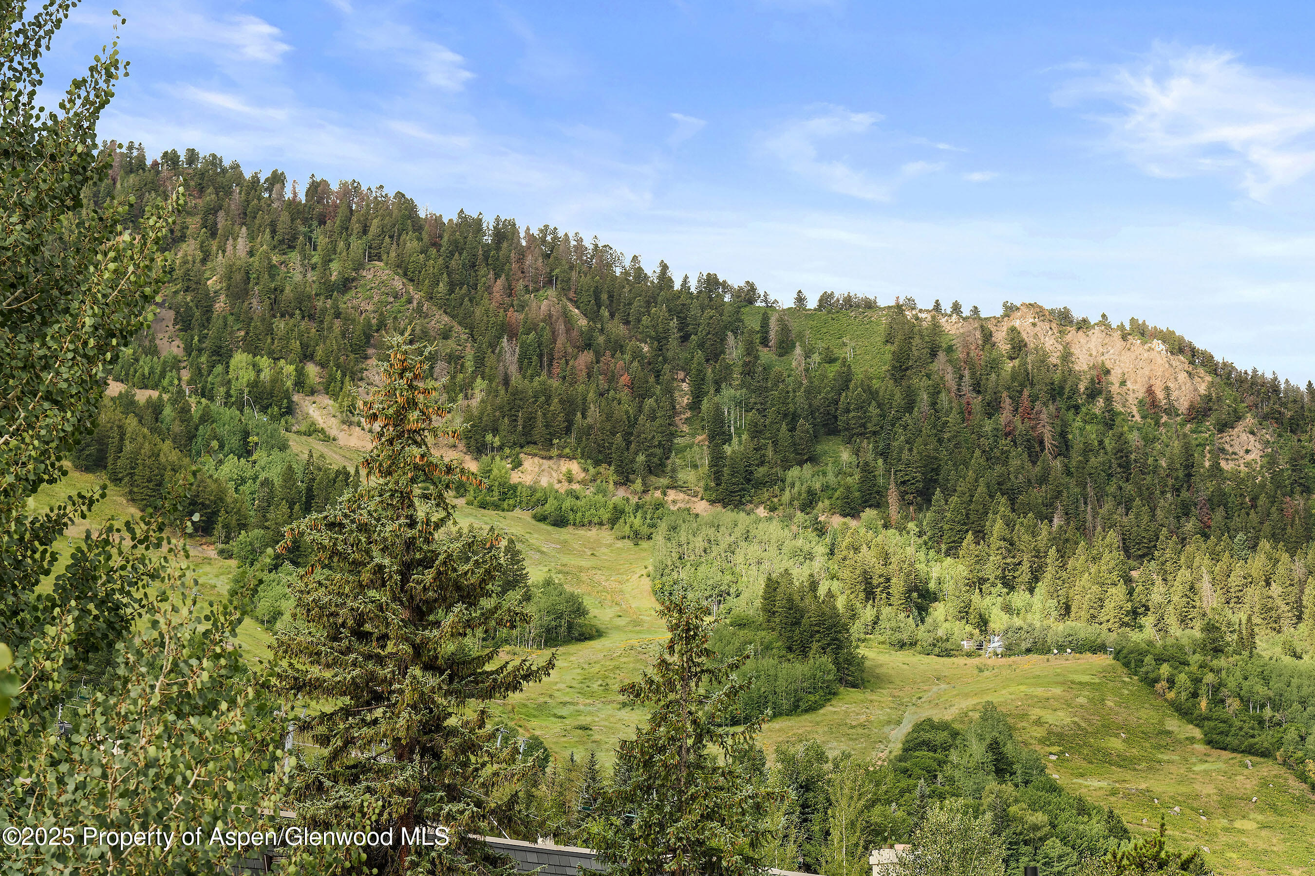 450 S Original Street Aspen CO 81611