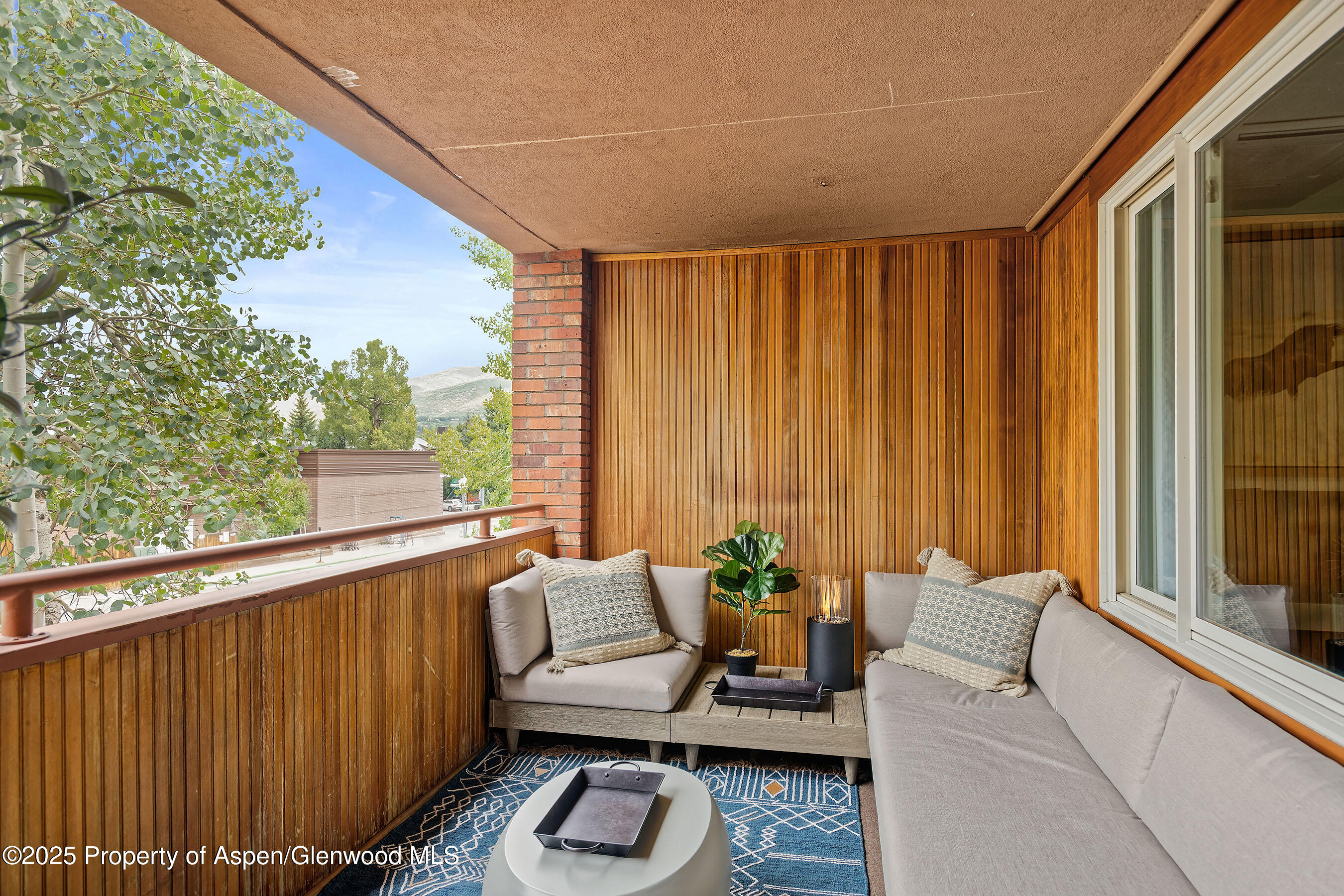 450 S Original Street Aspen CO 81611