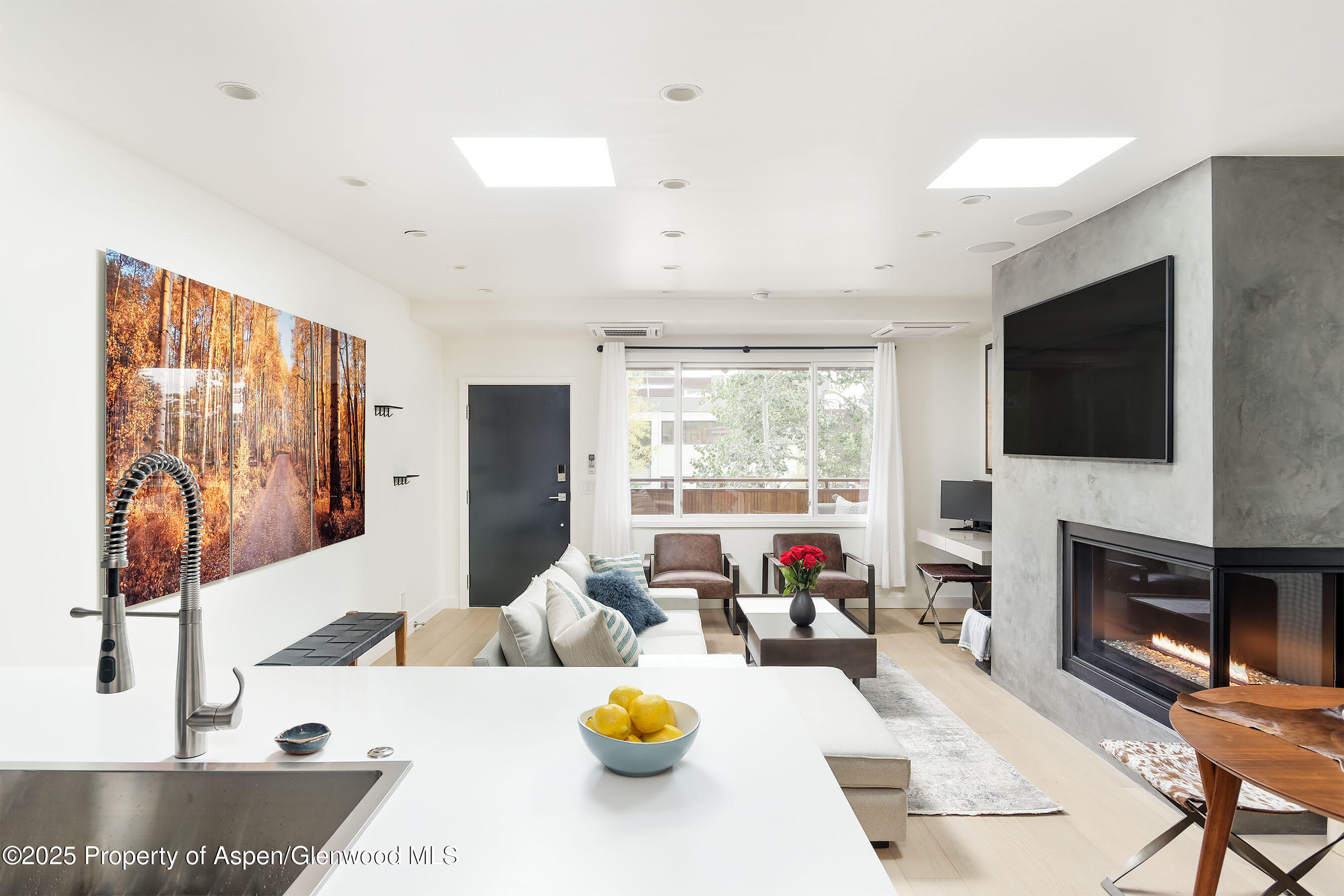 450 S Original Street Aspen CO 81611