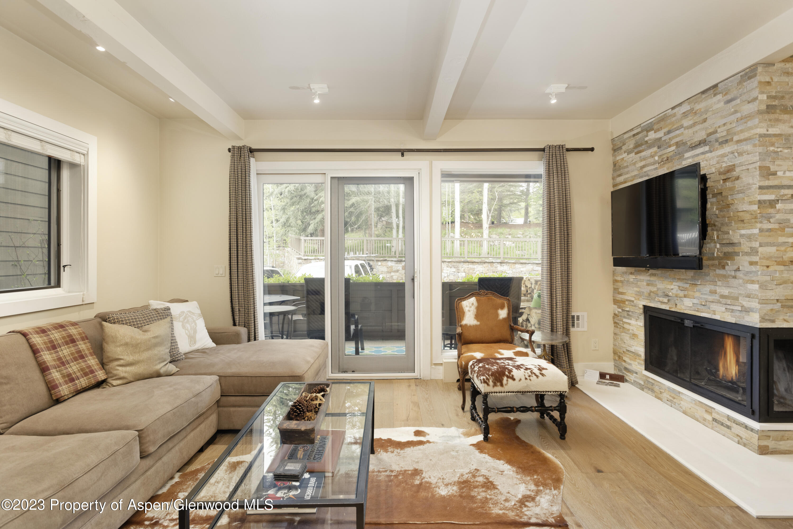 610 S West End Street Aspen CO 81611