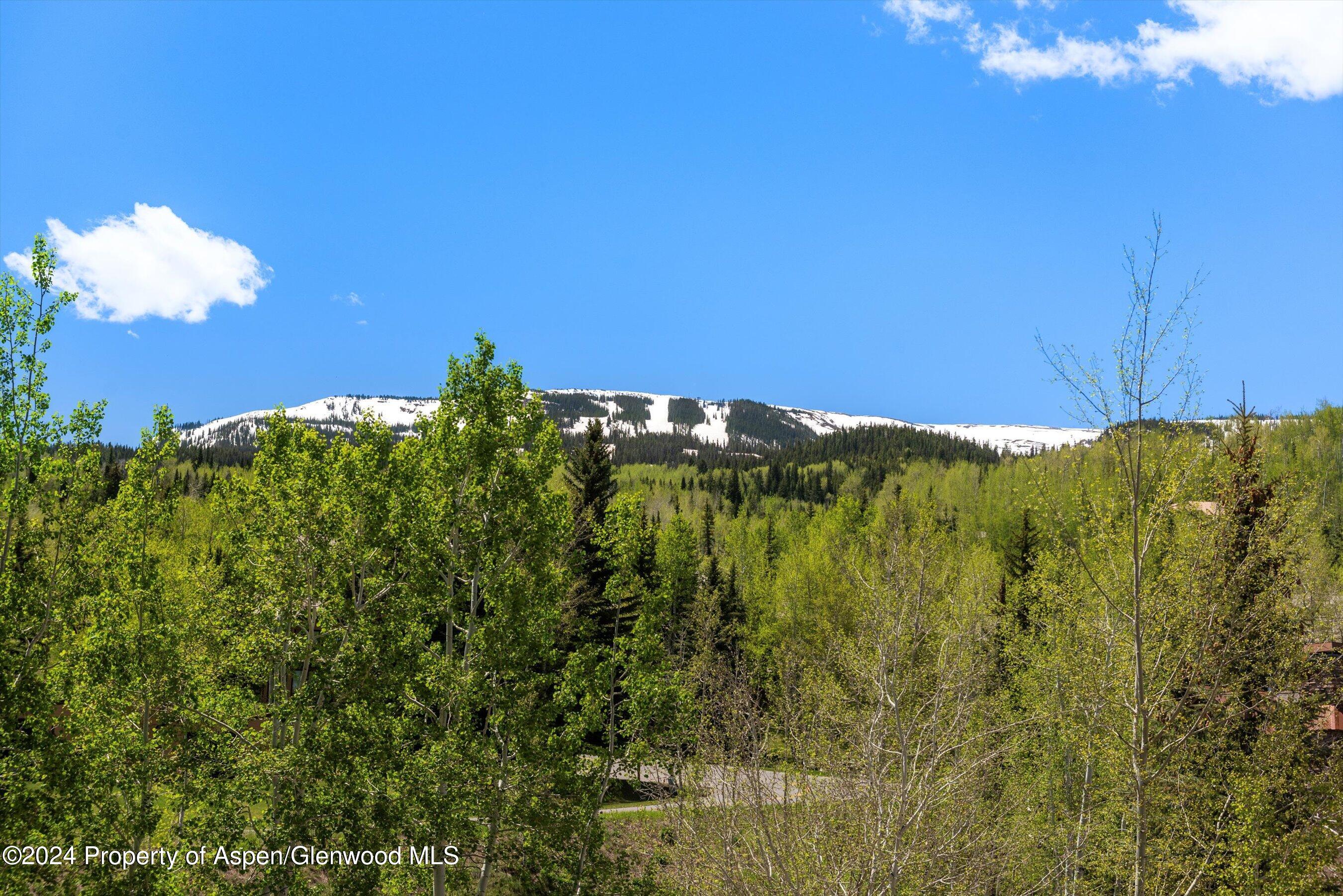 425 Wood Road Snowmass Village CO 81615