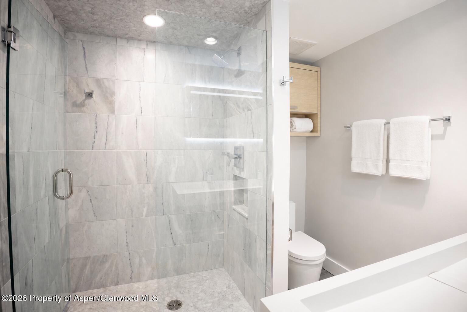 718 S Mill Street Aspen CO 81611