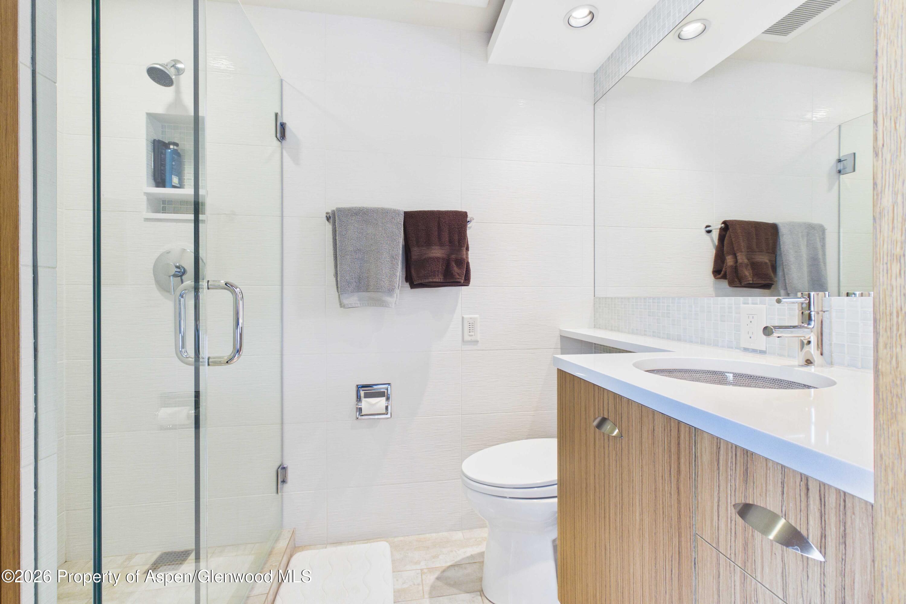 400 W Hopkins Avenue Aspen CO 81611