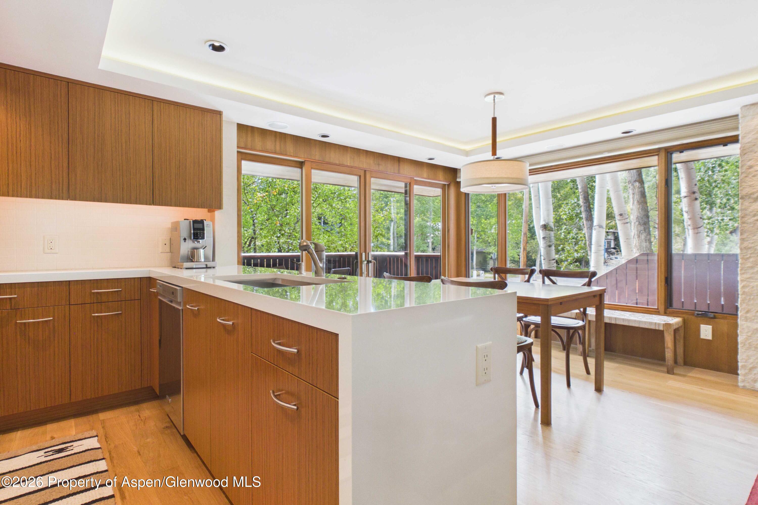 400 W Hopkins Avenue Aspen CO 81611