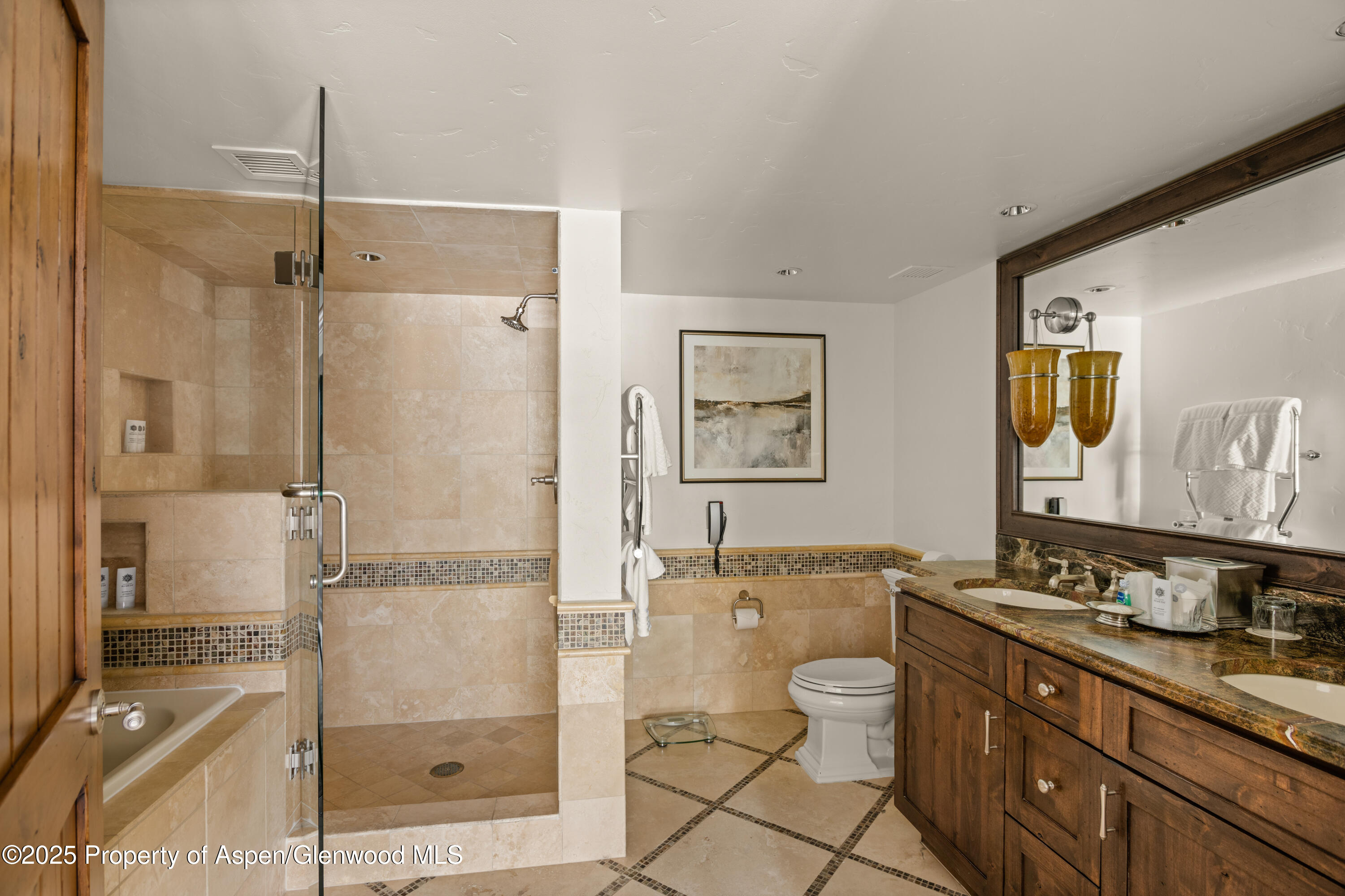 315 E Dean St, B51 Aspen CO 81611