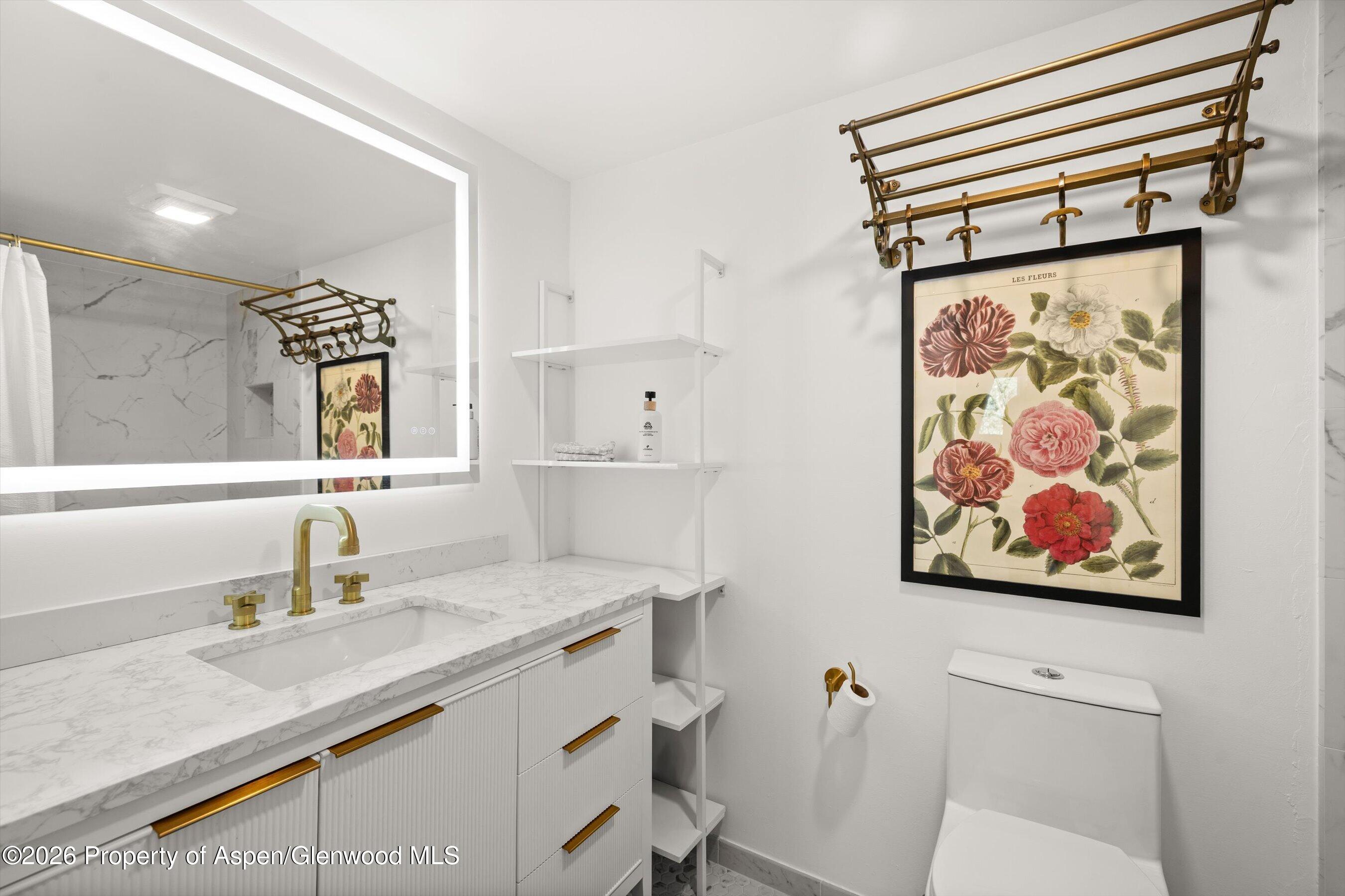 412 N Mill Street Aspen CO 81611