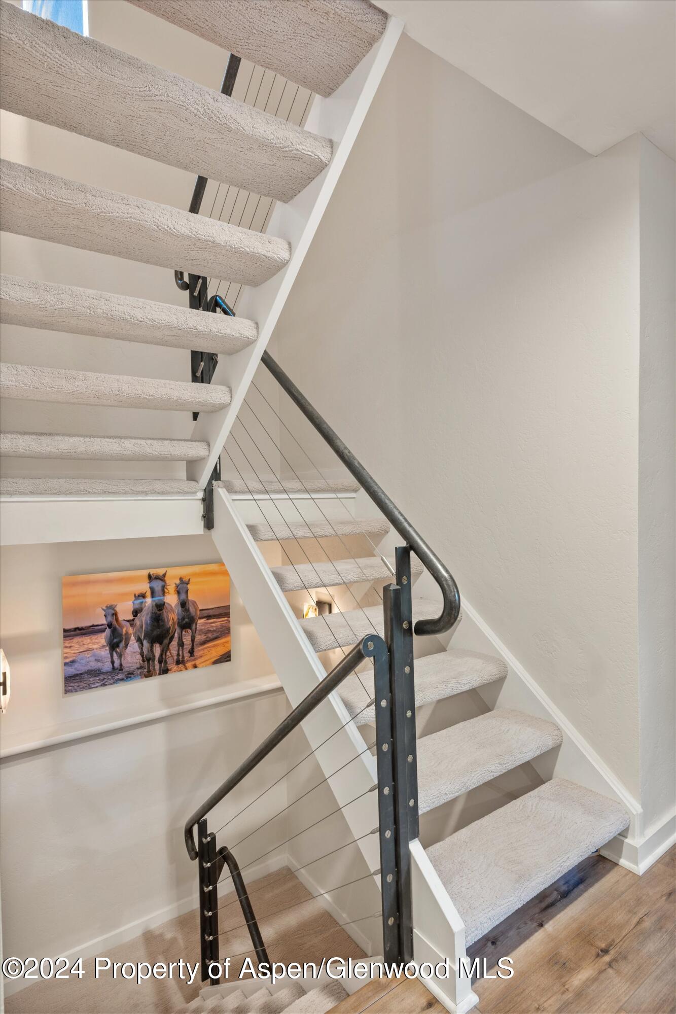 814 W Bleeker Street Aspen CO 81611