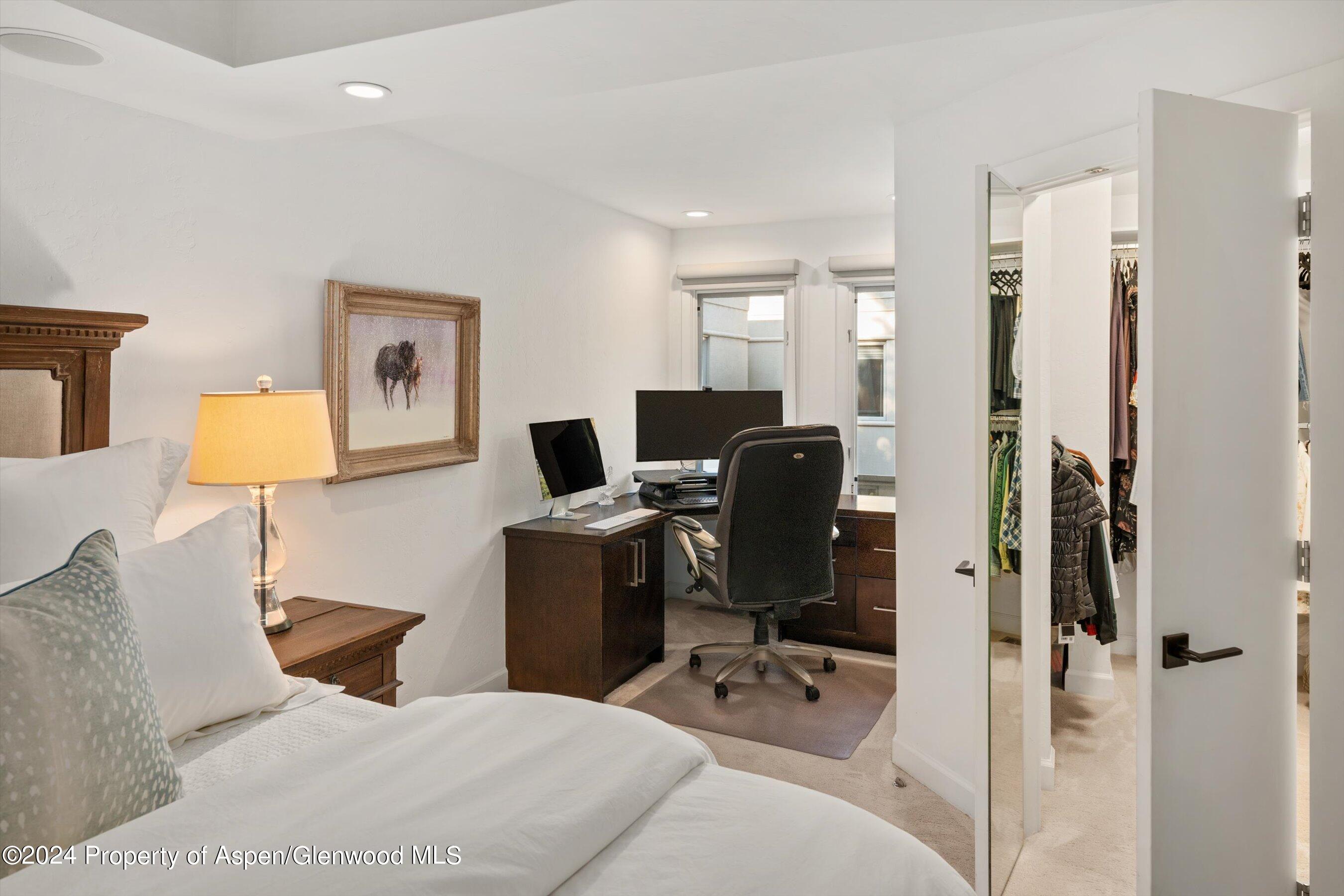 814 W Bleeker Street Aspen CO 81611