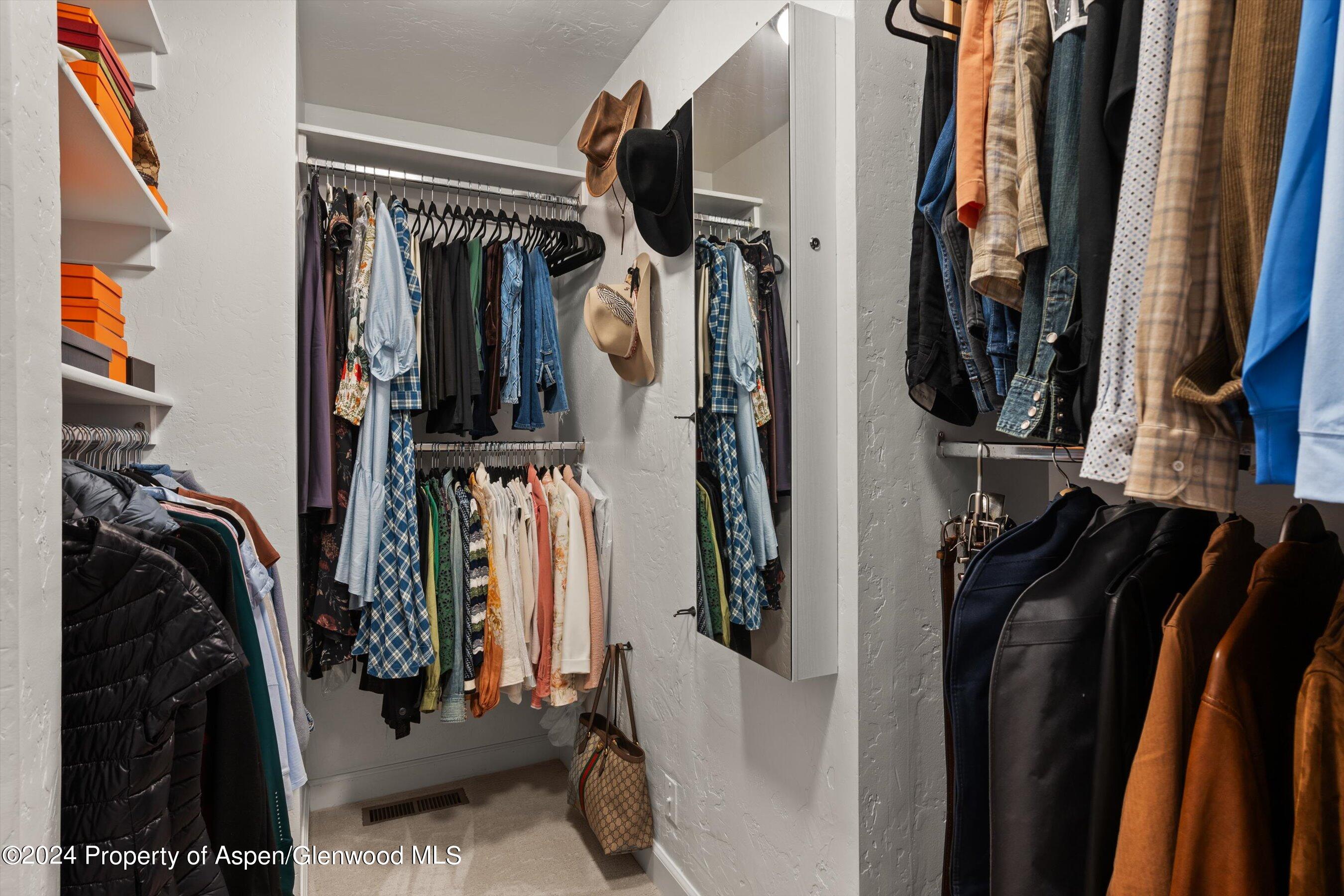 814 W Bleeker Street Aspen CO 81611