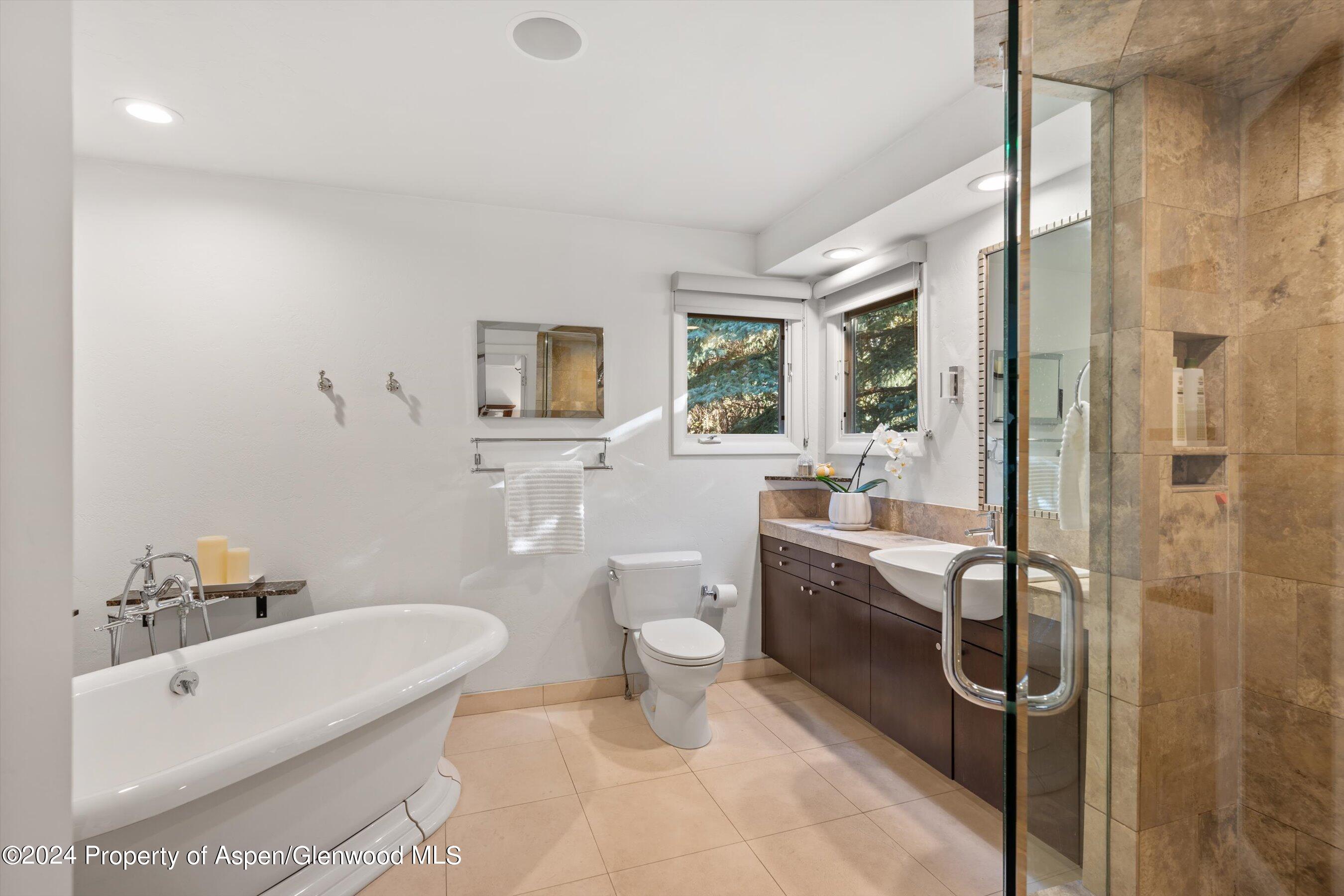 814 W Bleeker Street Aspen CO 81611