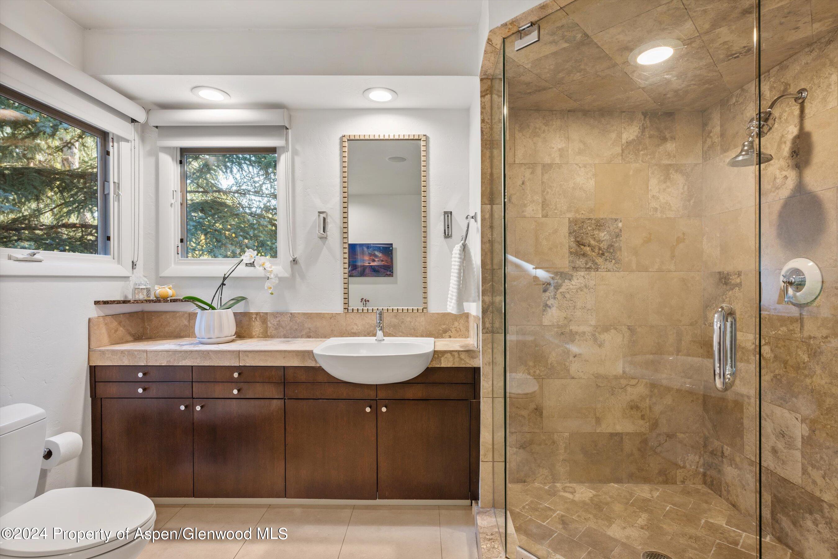 814 W Bleeker Street Aspen CO 81611