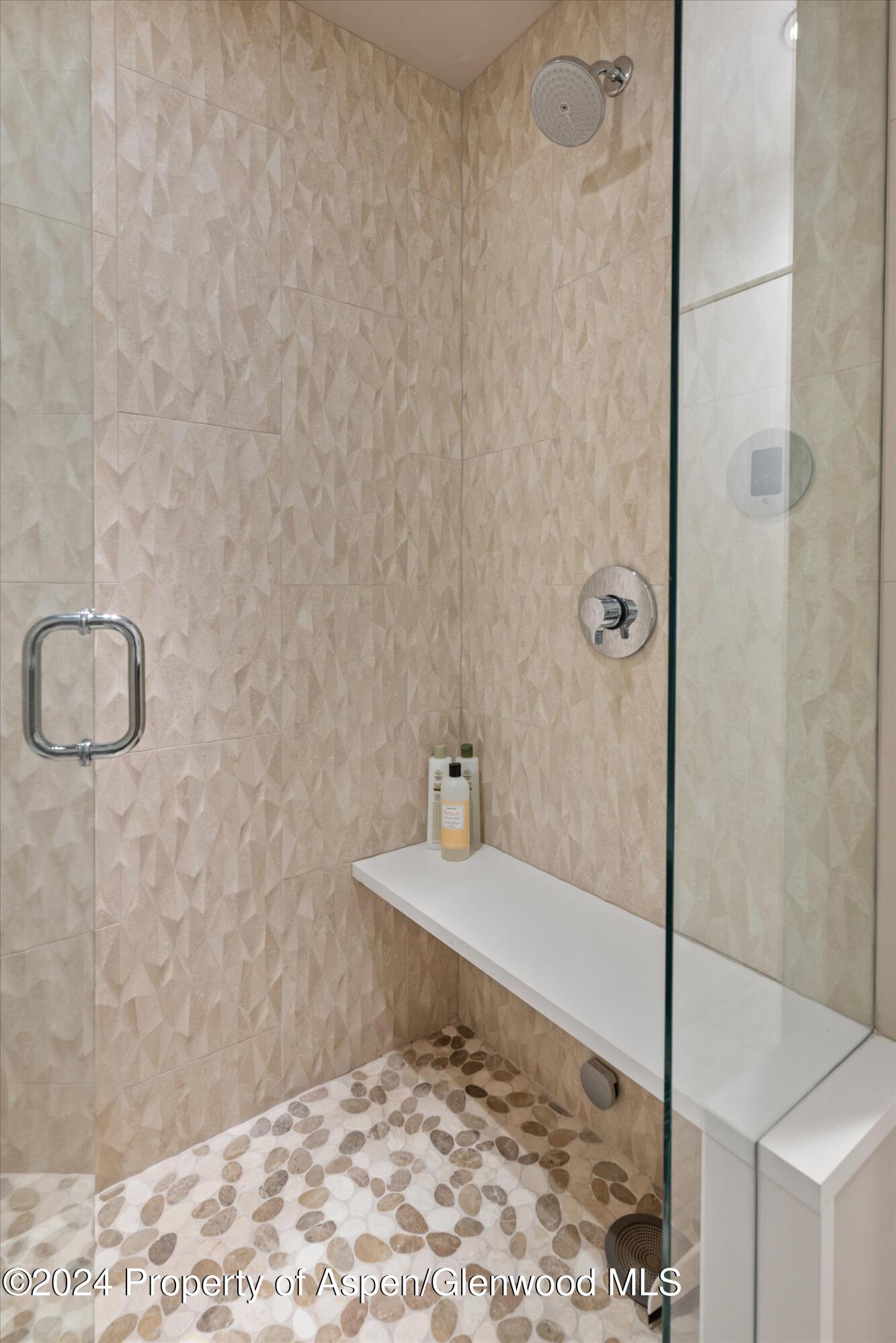 814 W Bleeker Street Aspen CO 81611