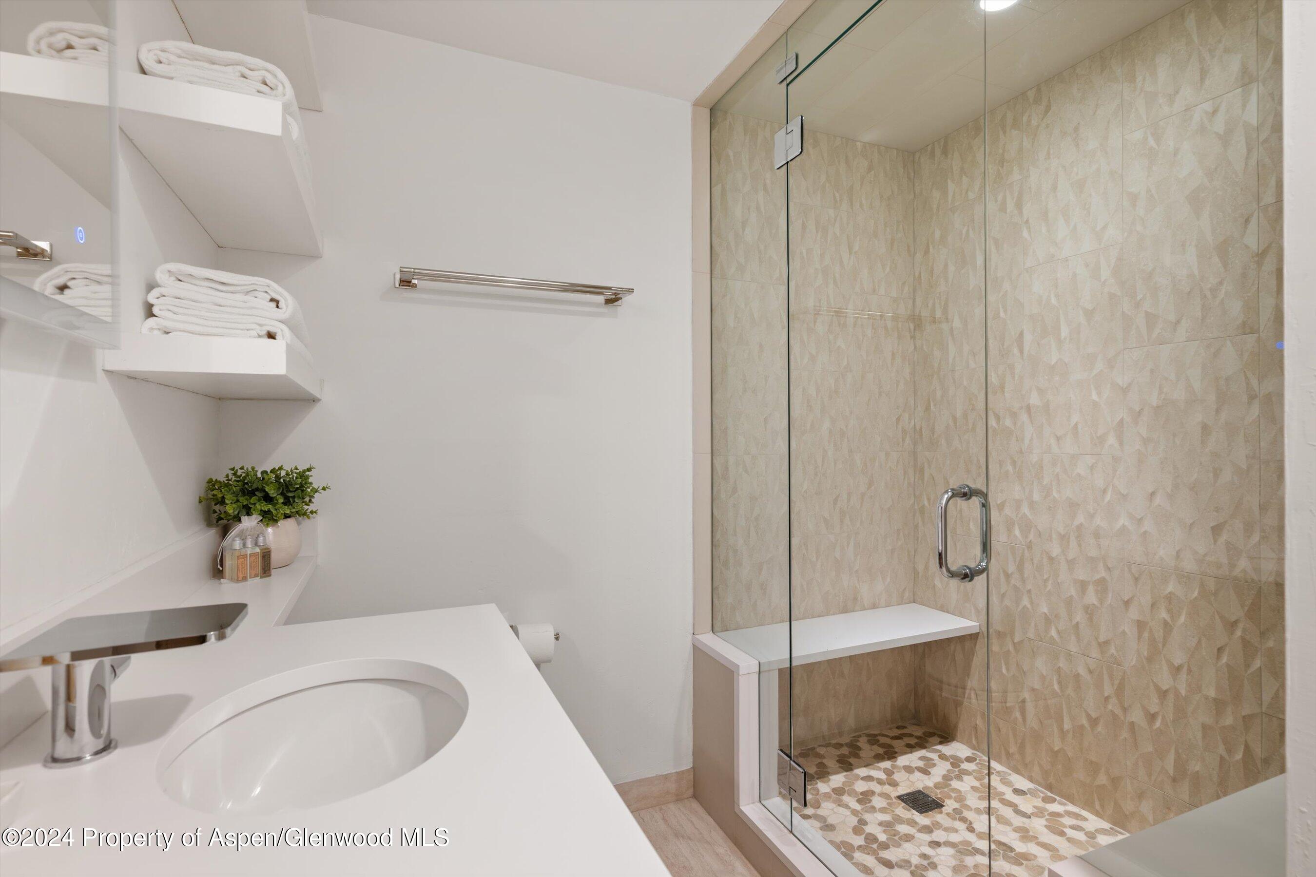 814 W Bleeker Street Aspen CO 81611