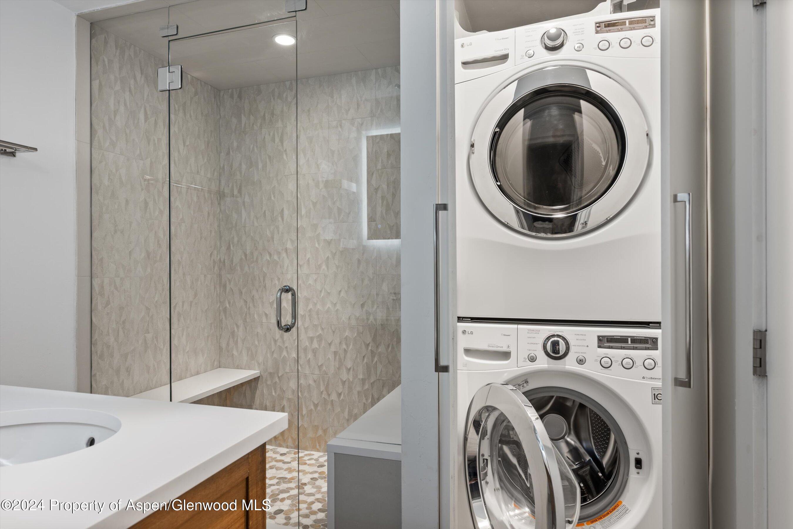 814 W Bleeker Street Aspen CO 81611