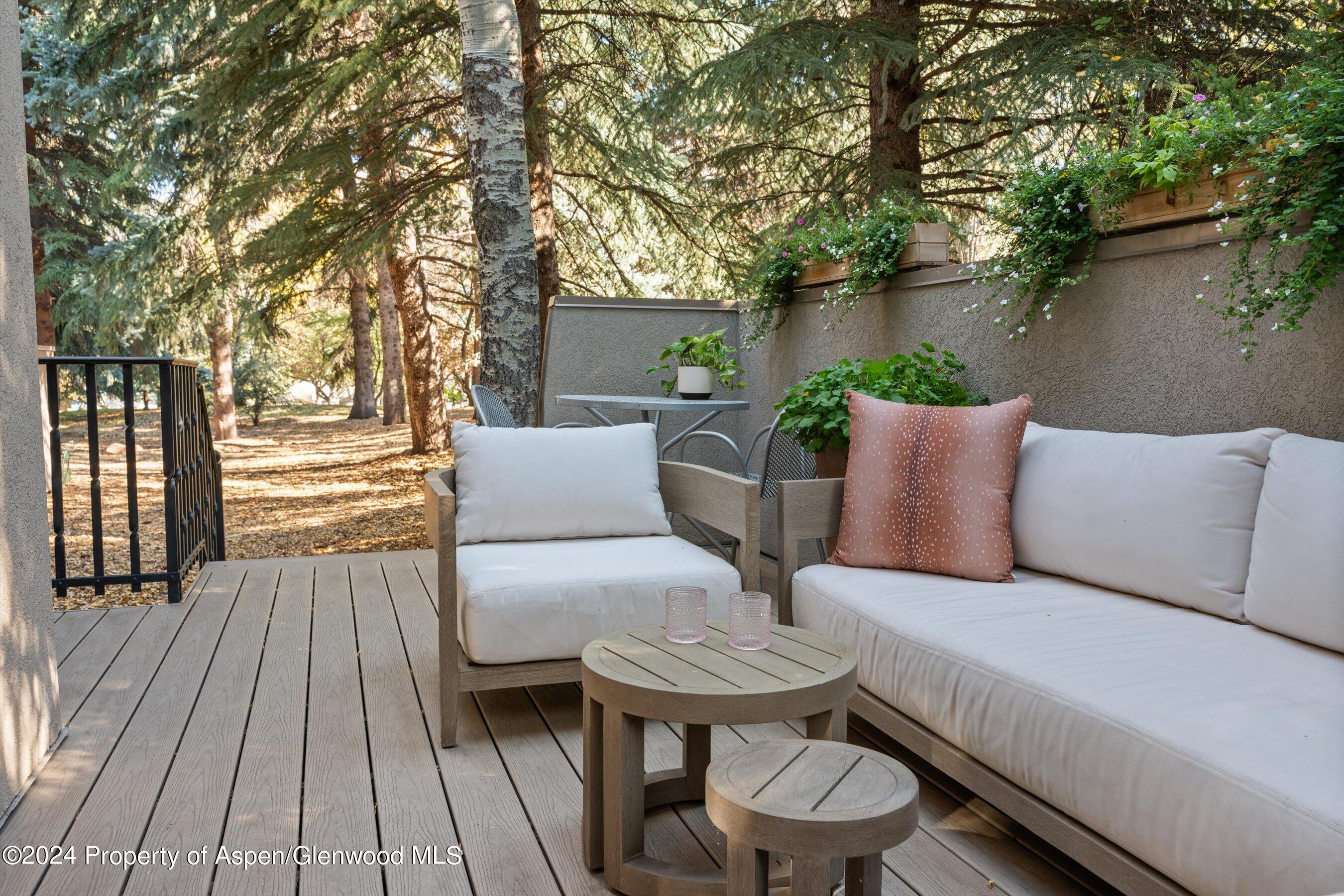 814 W Bleeker Street Aspen CO 81611