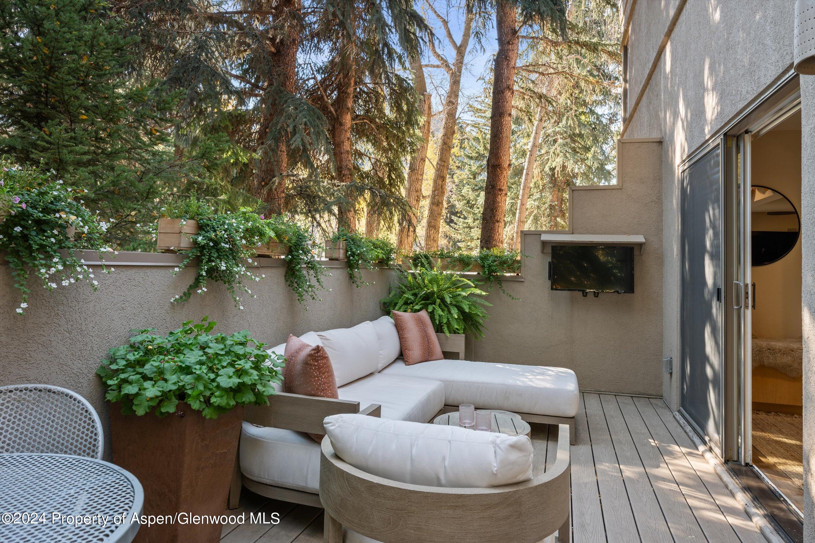 814 W Bleeker Street Aspen CO 81611