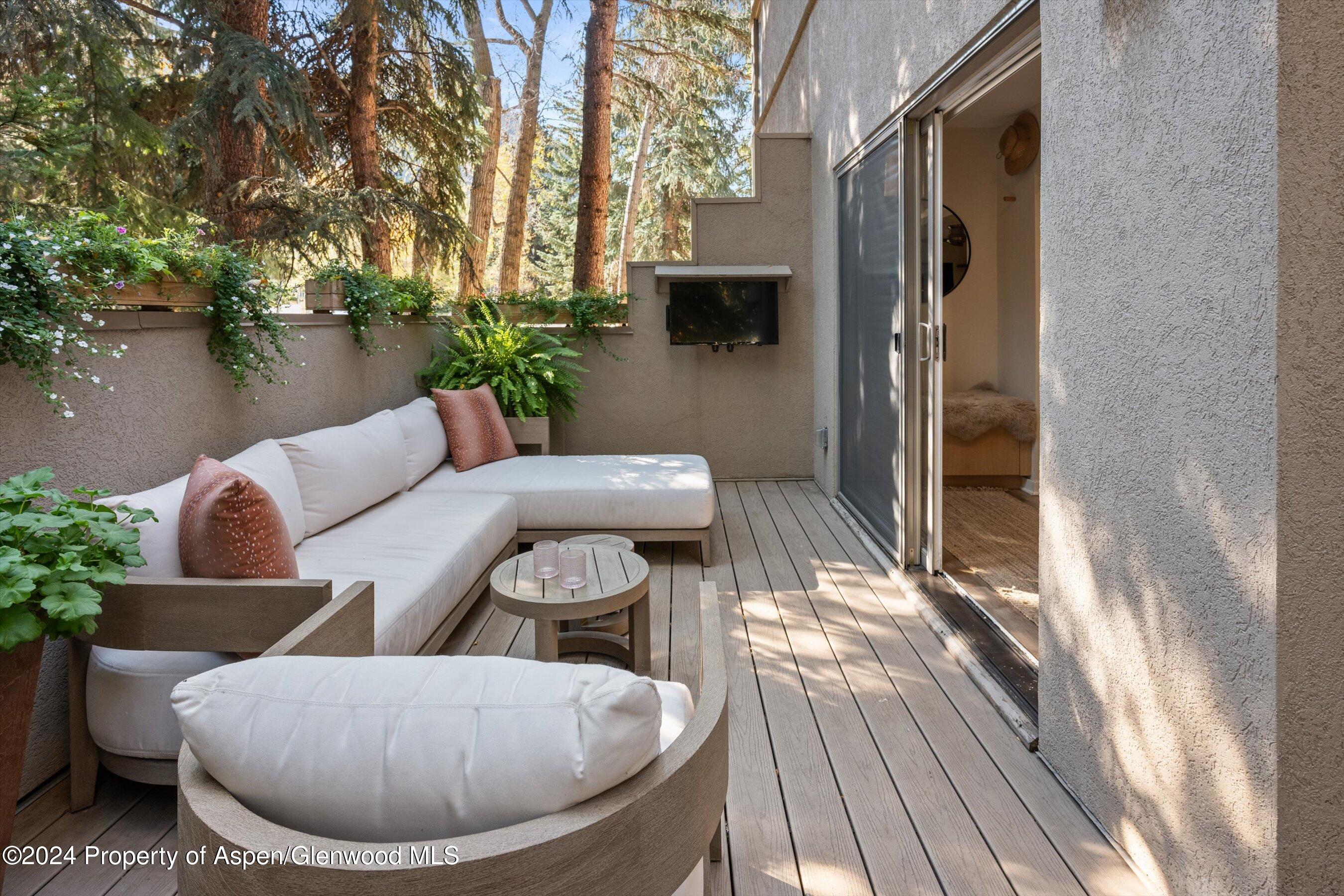 814 W Bleeker Street Aspen CO 81611