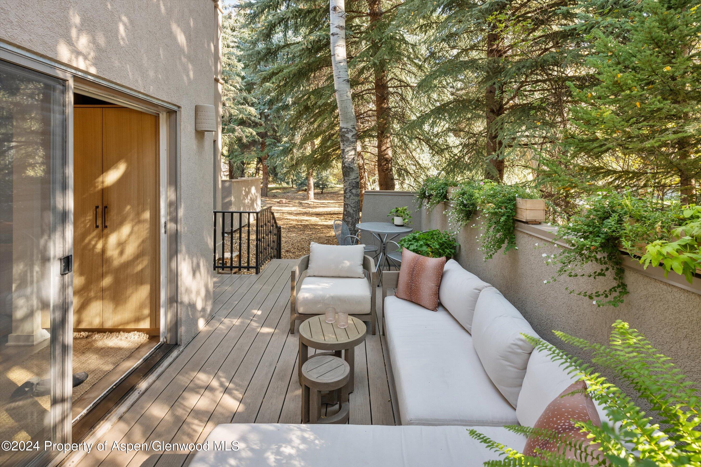 814 W Bleeker Street Aspen CO 81611