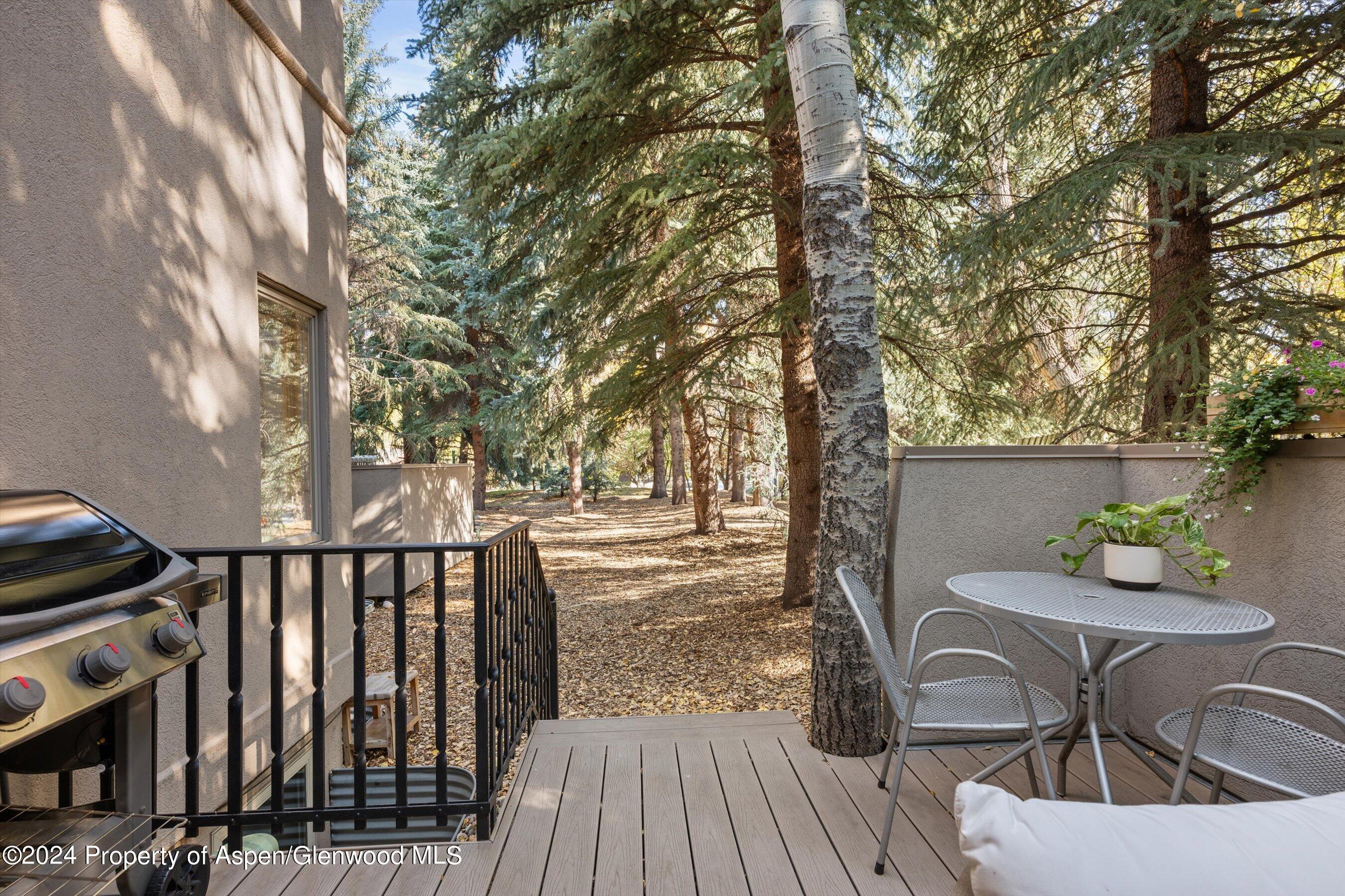 814 W Bleeker Street Aspen CO 81611