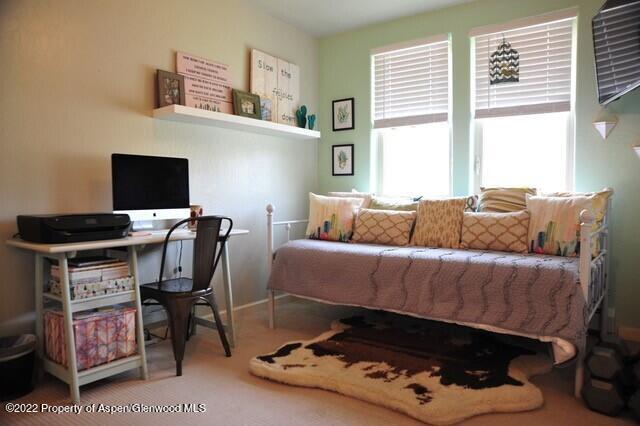 610 Lakeside Drive Basalt CO 81621