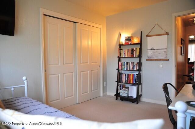 610 Lakeside Drive Basalt CO 81621