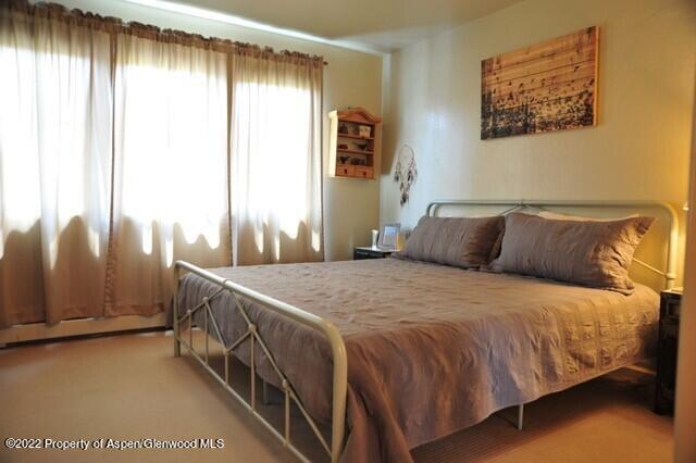 610 Lakeside Drive Basalt CO 81621