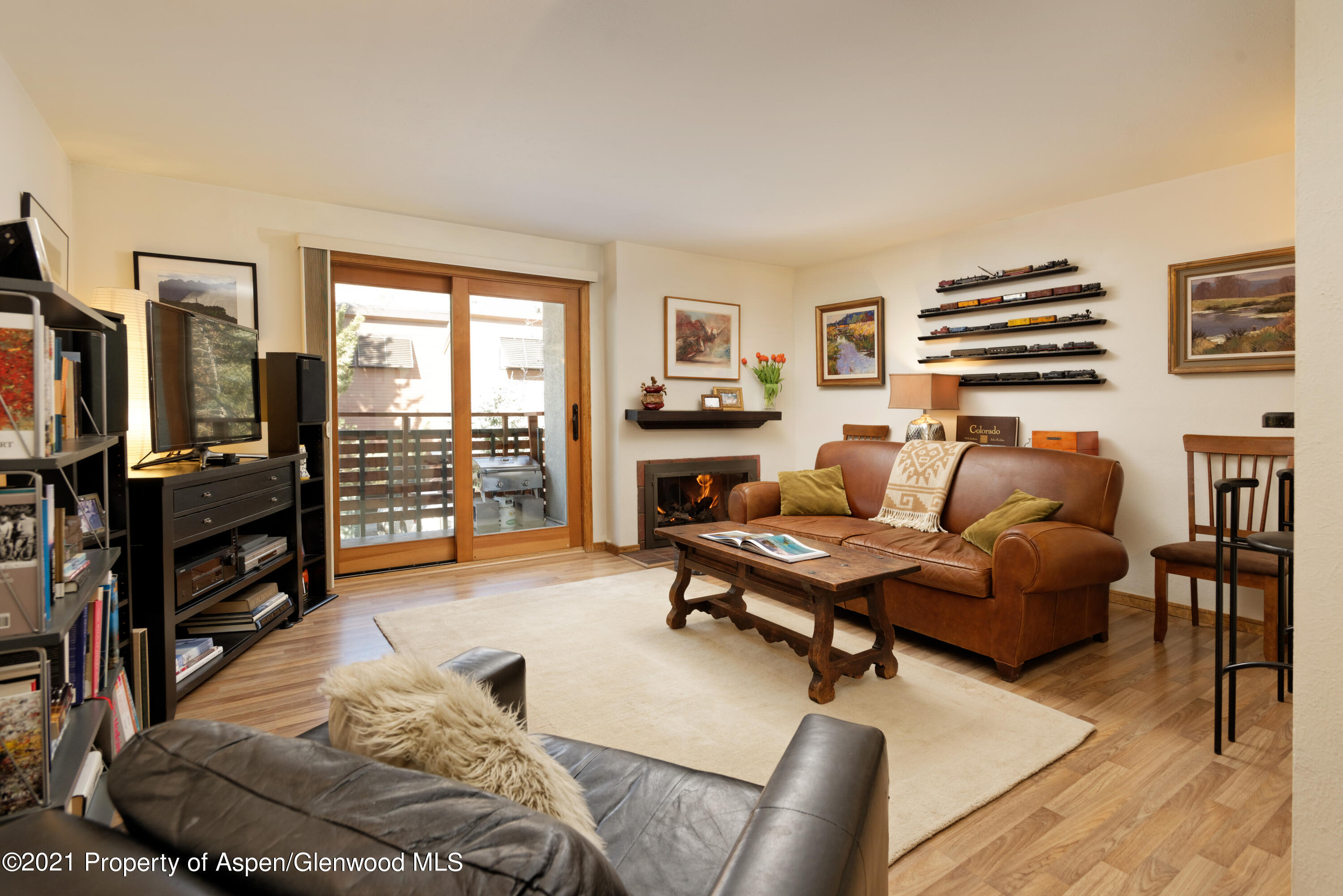 910 W Hallam Street Aspen CO 81611