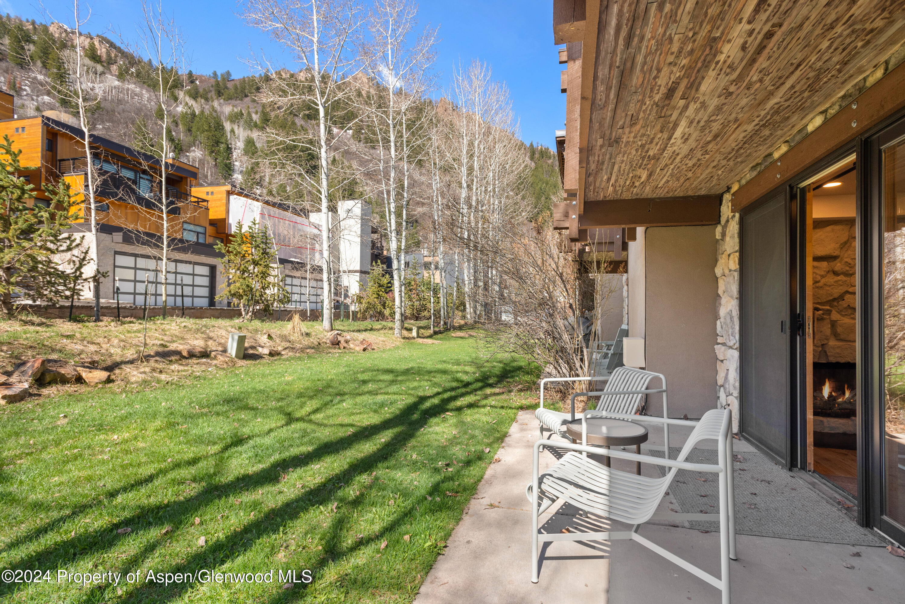 131 E Durant Avenue Aspen CO 81611