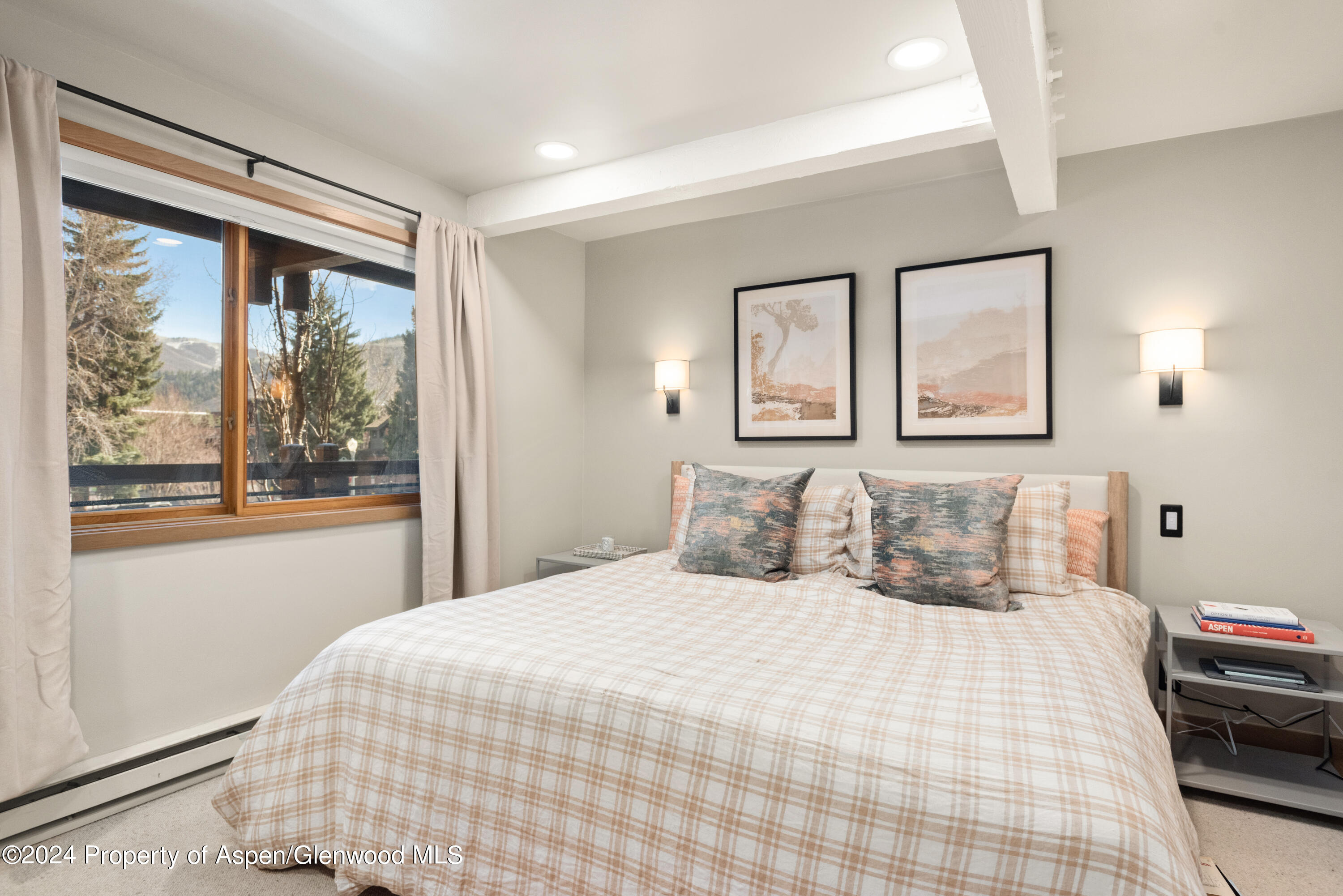 131 E Durant Avenue Aspen CO 81611