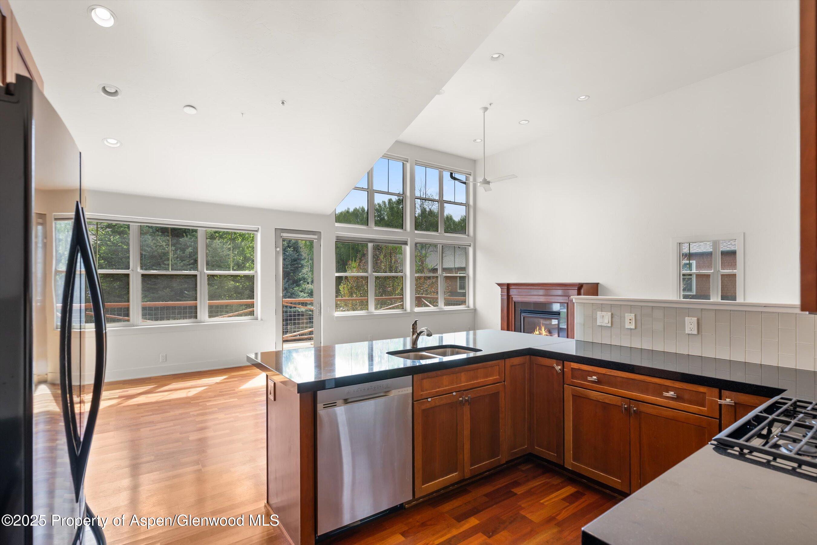 630 Evans Court Basalt CO 81621