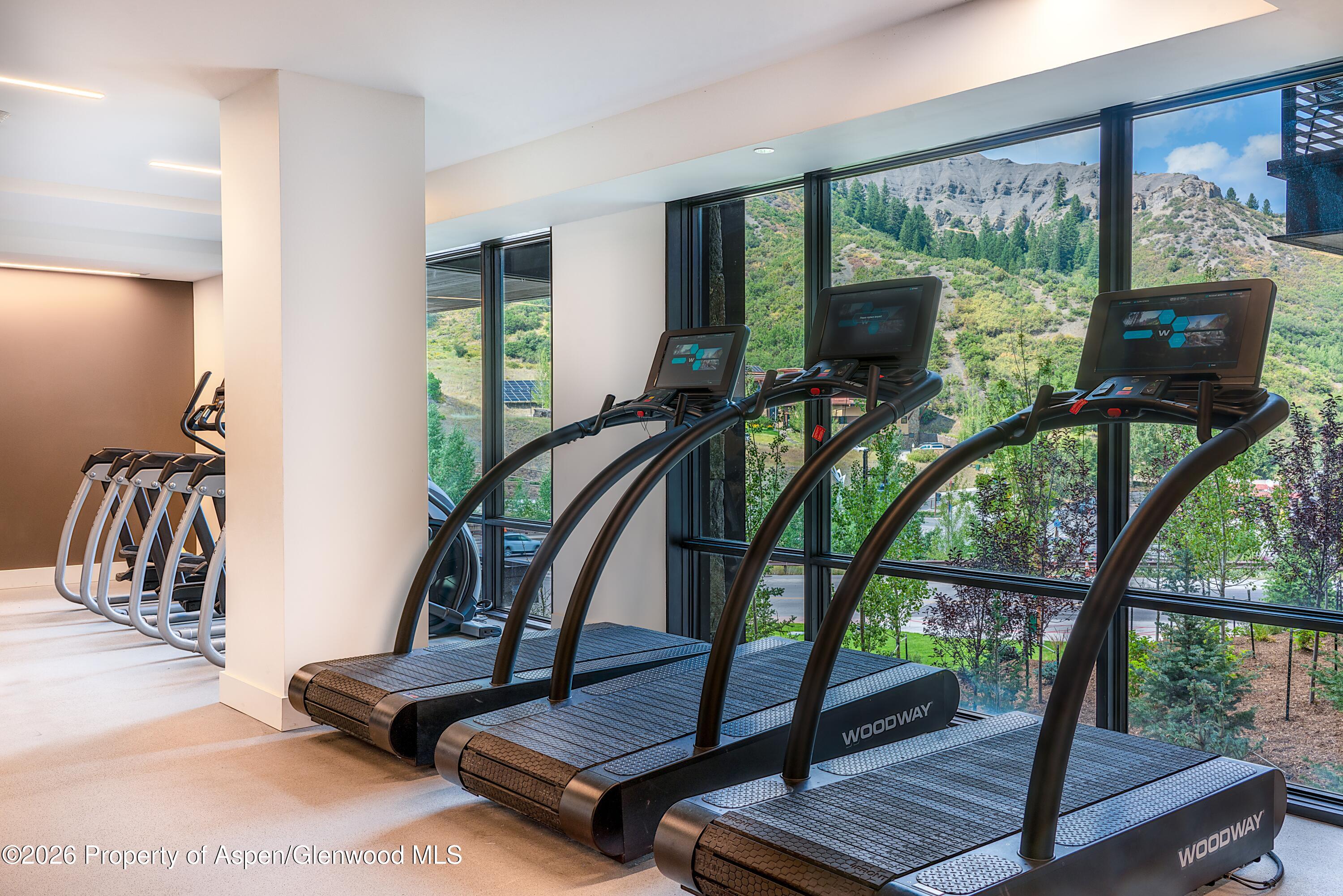 77 Wood Road Snowmass Village CO 81615