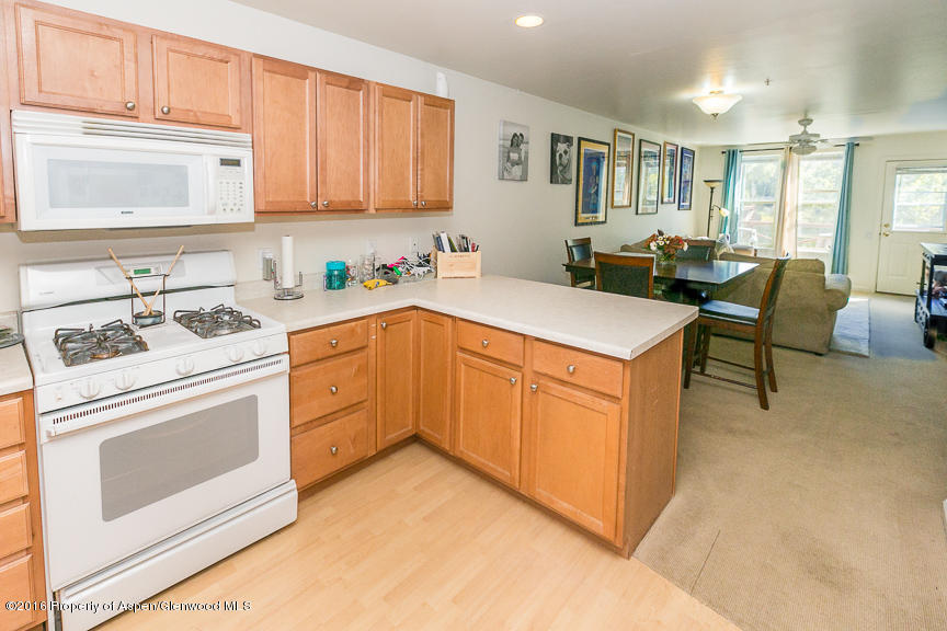 205 Lakeside Court Basalt CO 81621