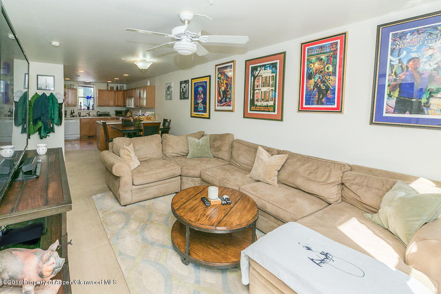 205 Lakeside Court Basalt CO 81621