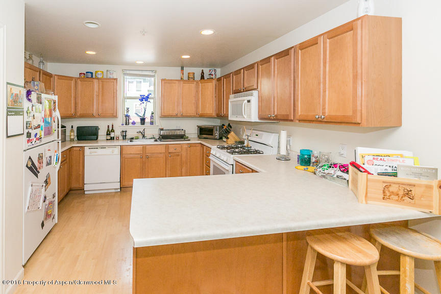 205 Lakeside Court Basalt CO 81621